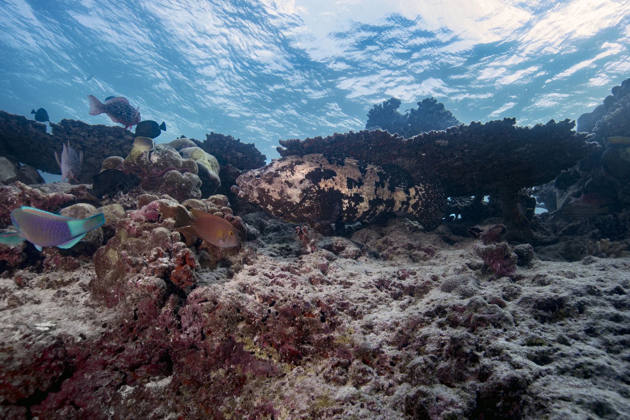 2B8A3756B.jpg