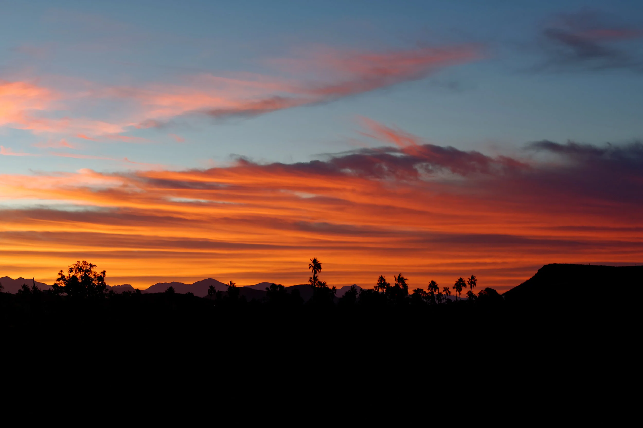 700_7810_DxO.jpg