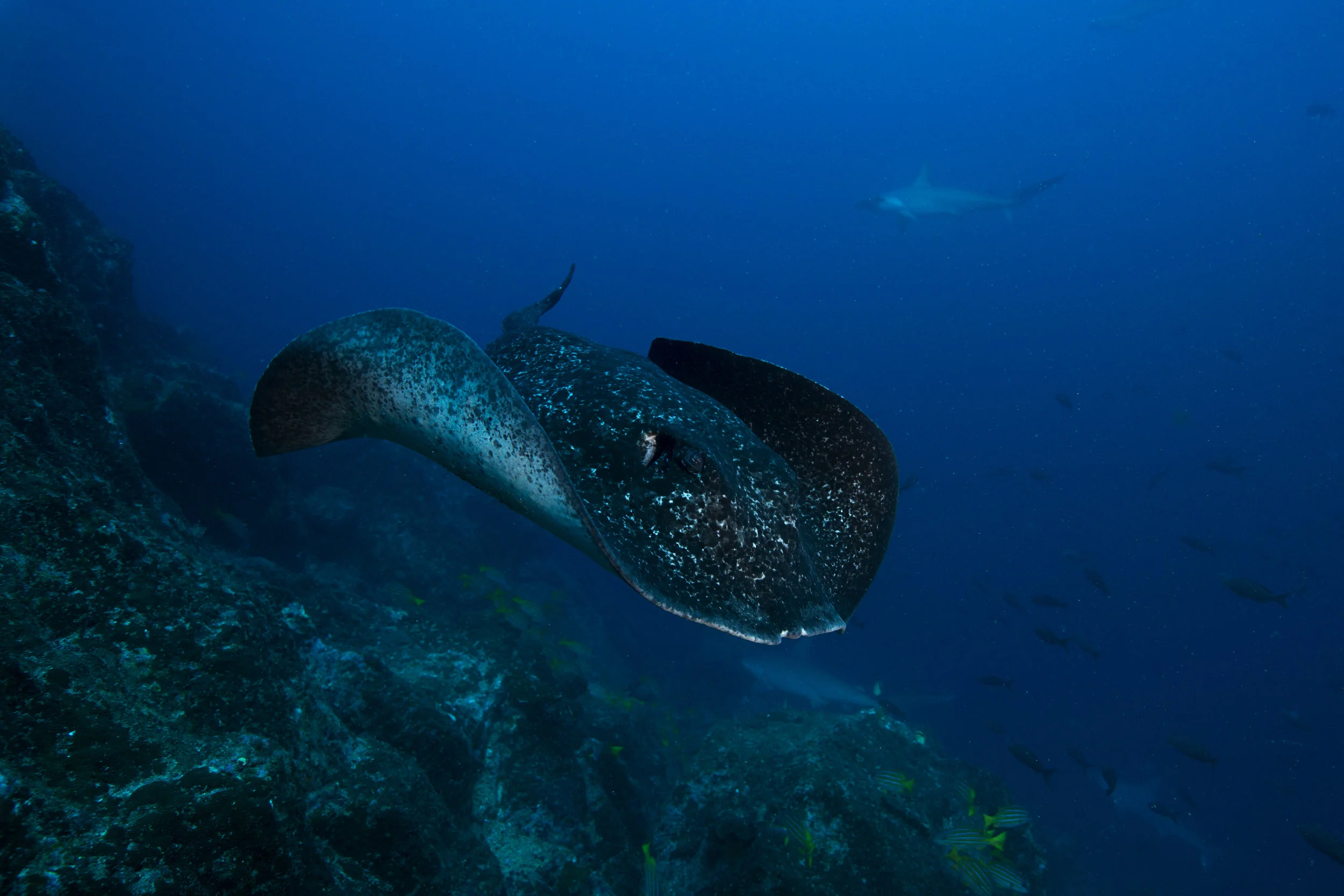 2B8A6251.jpg