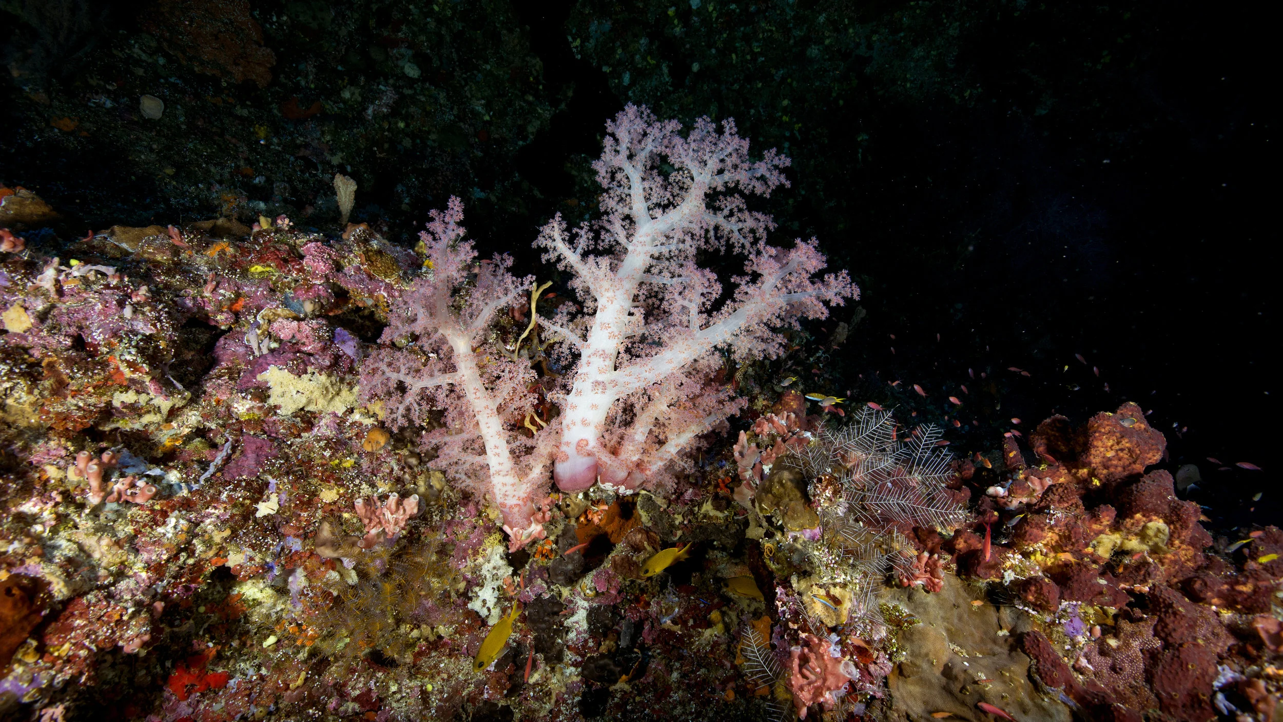2B8A7184.jpg