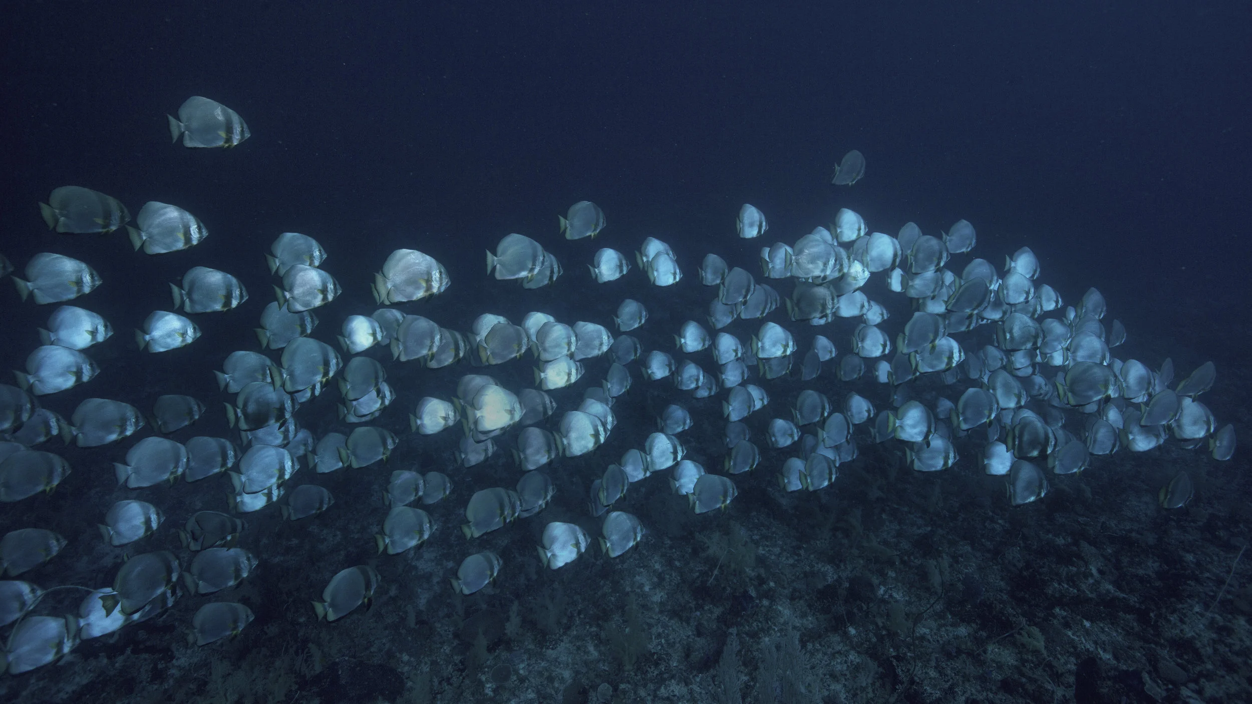 2B8A8669.jpg