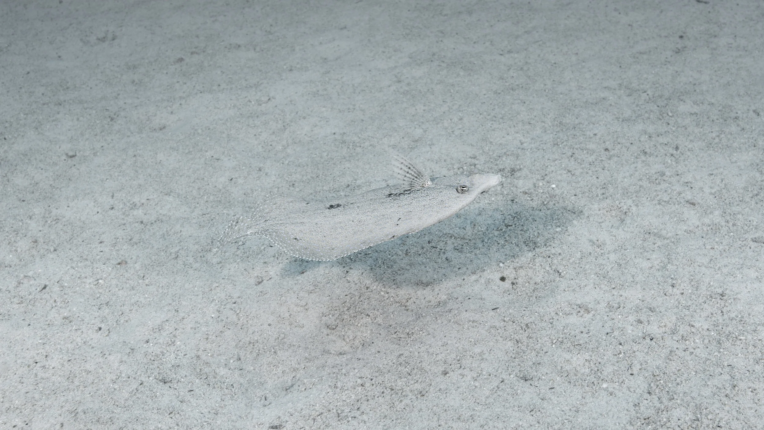 2B8A4870-16x9.jpg