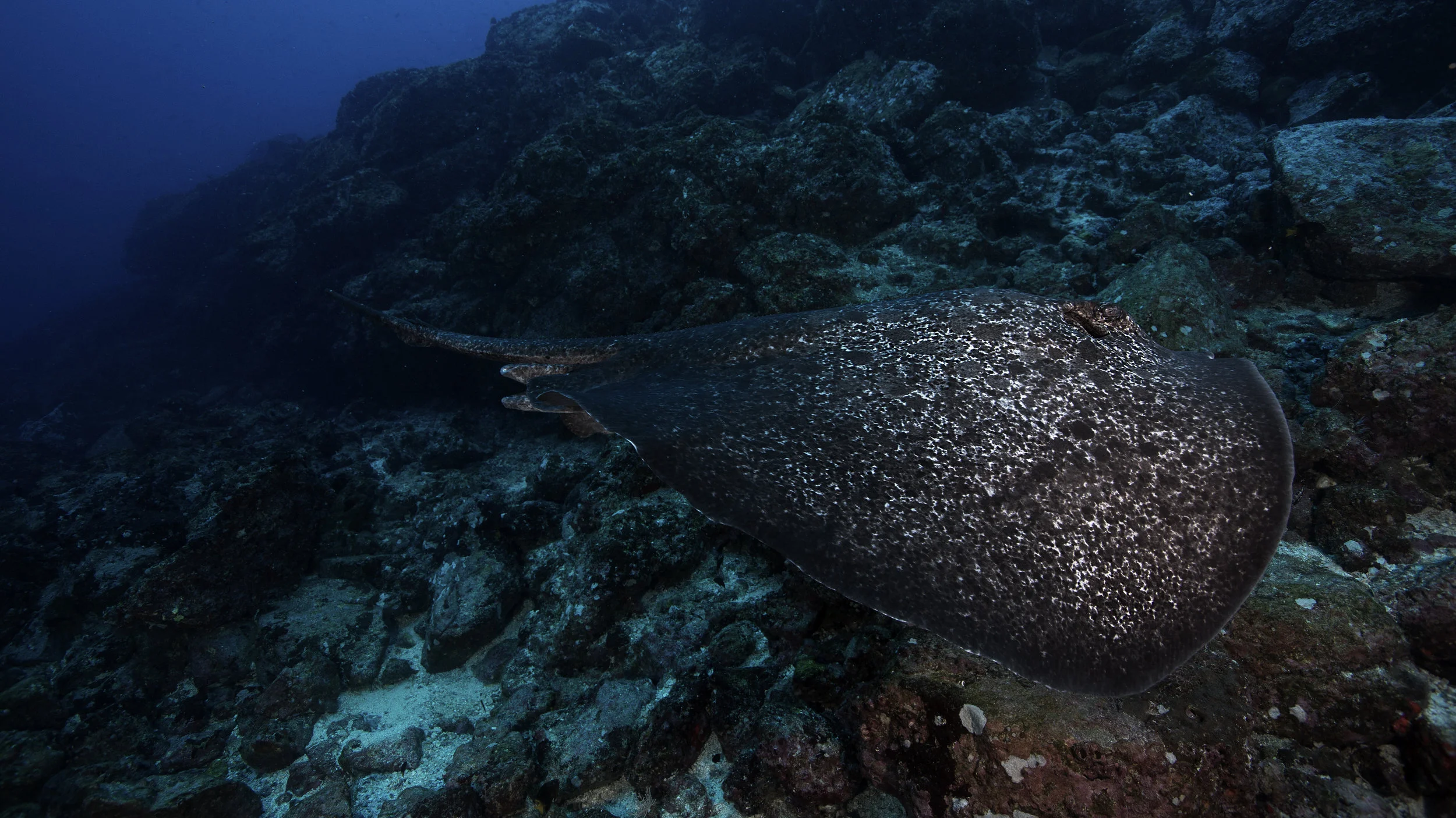 marble ray 2B8A6661b-16x9.jpg