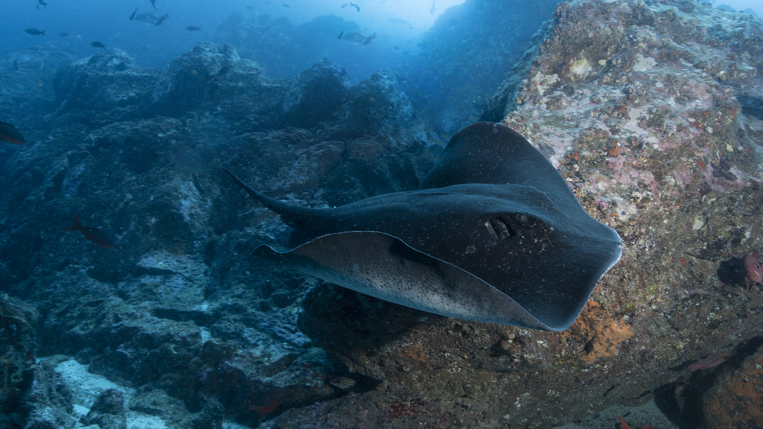 2B8A496516x9.jpg