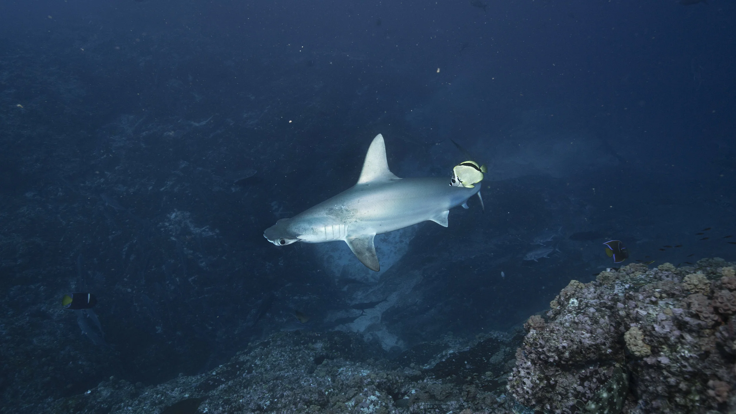 2B8A6958.jpg