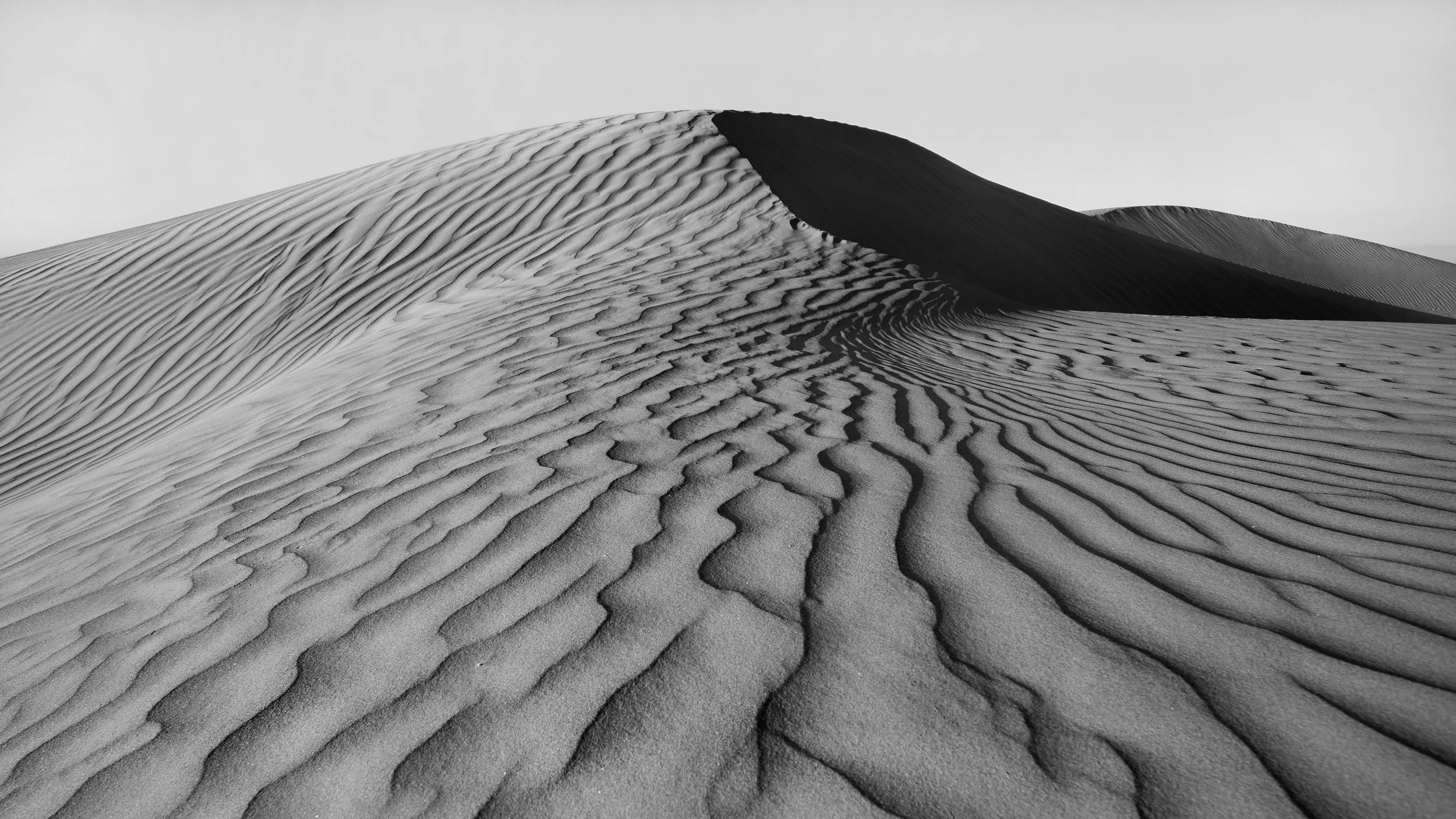 700_7596.jpg