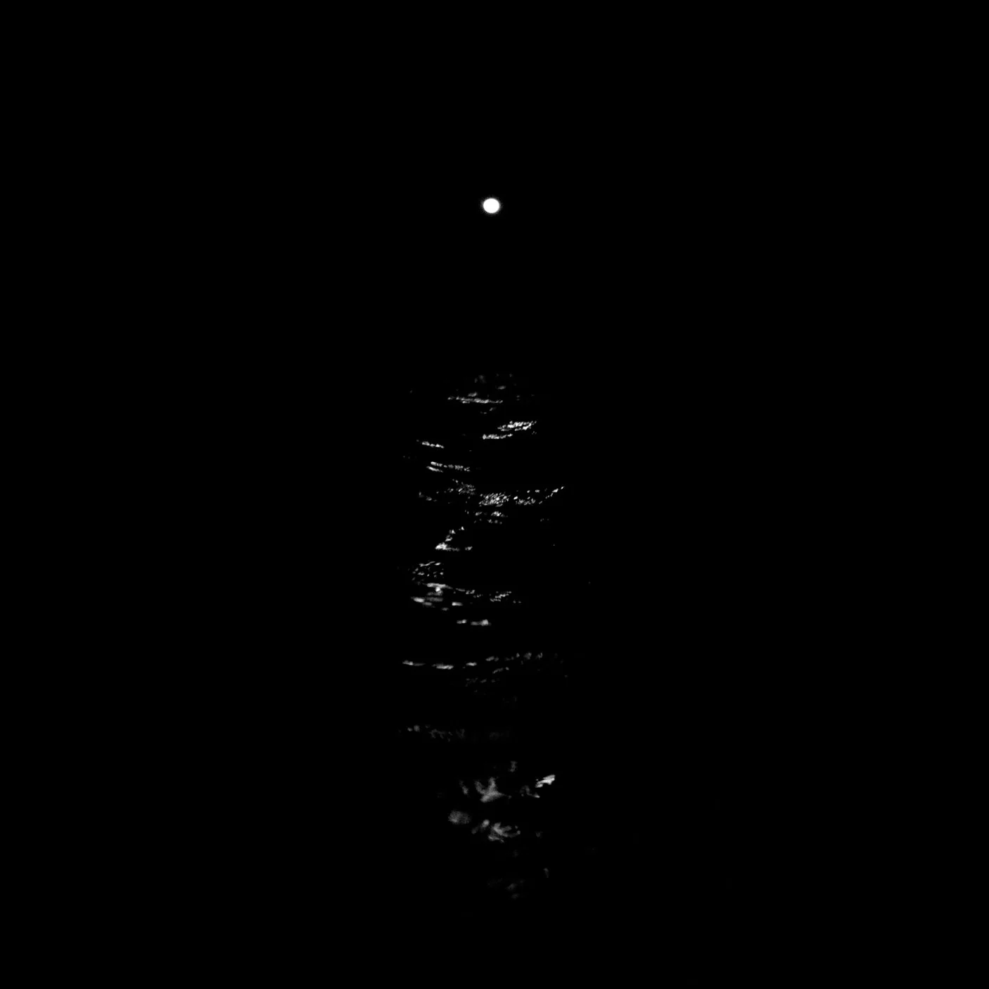 2B8A6038-16x9.jpg