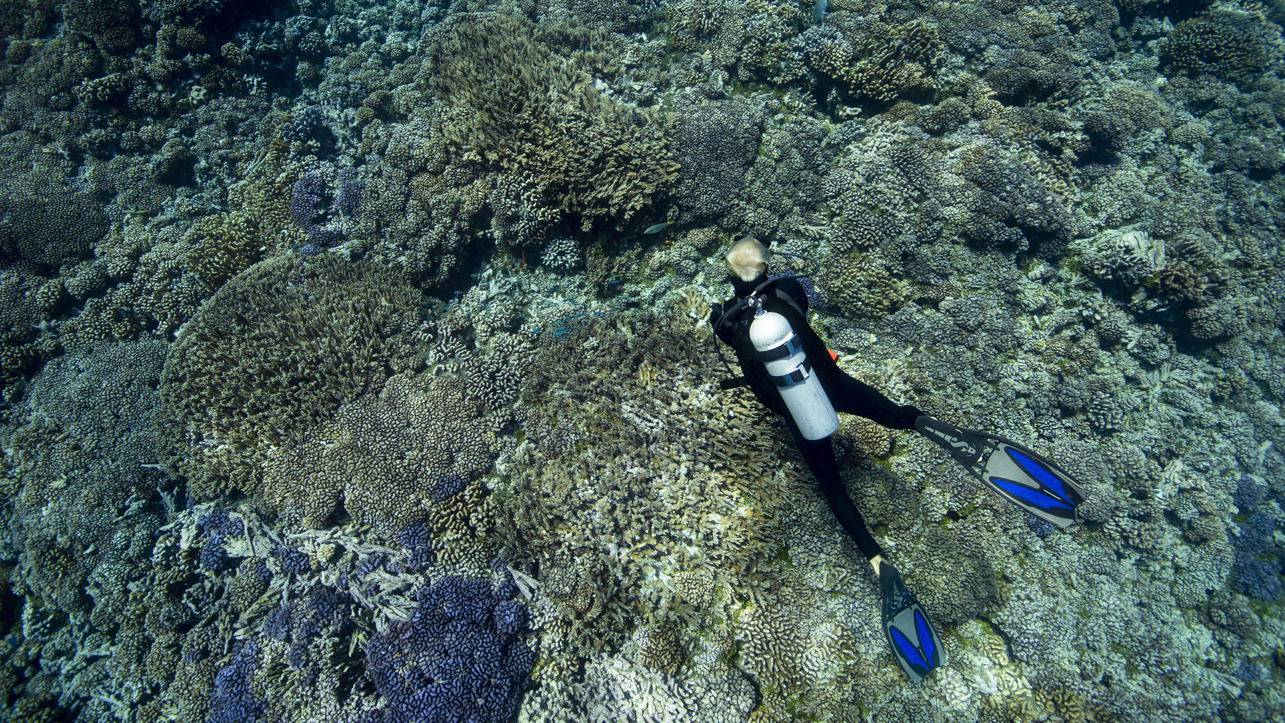 2B8A4265b.jpg
