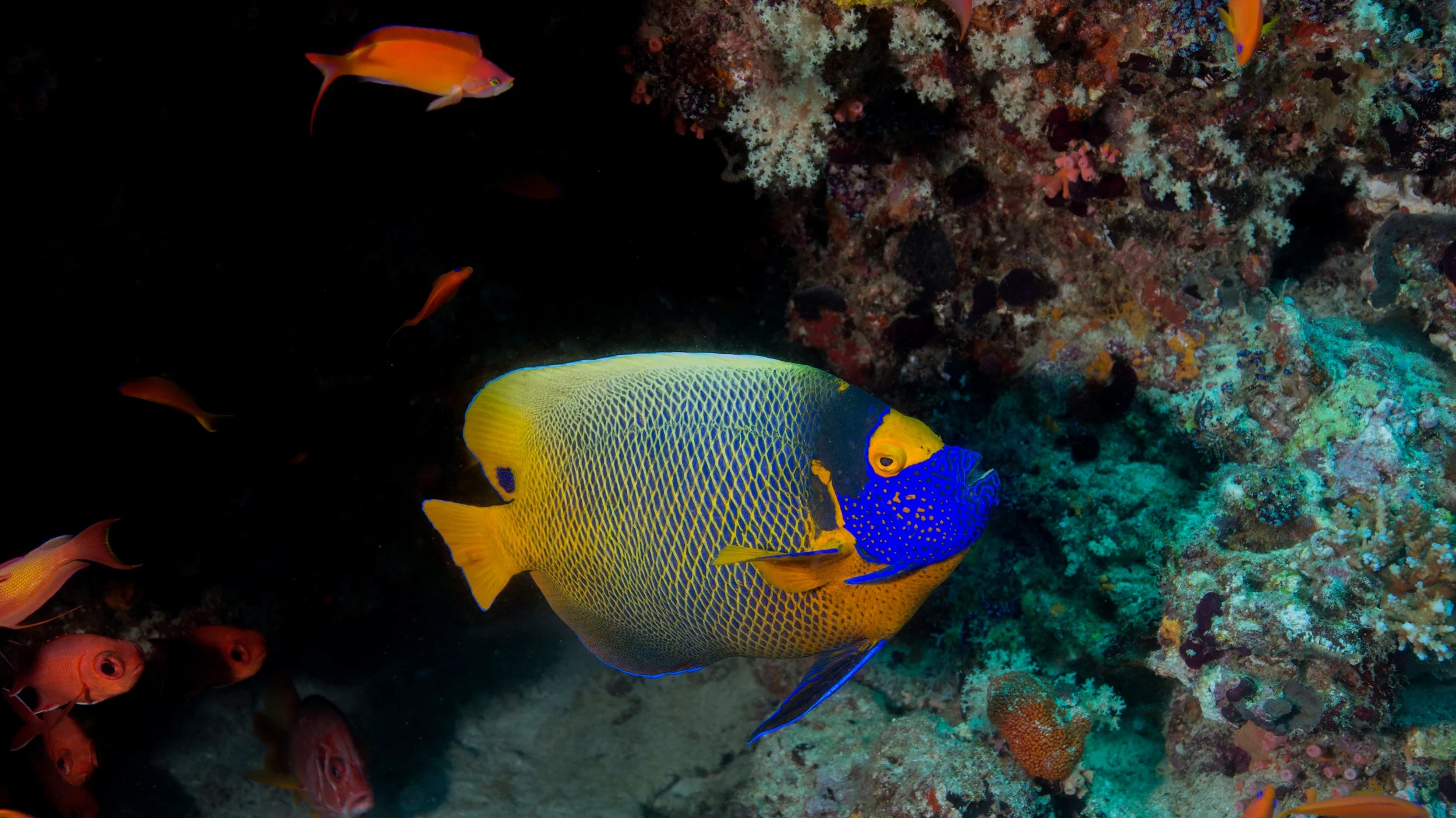 2B8A2271B.jpg