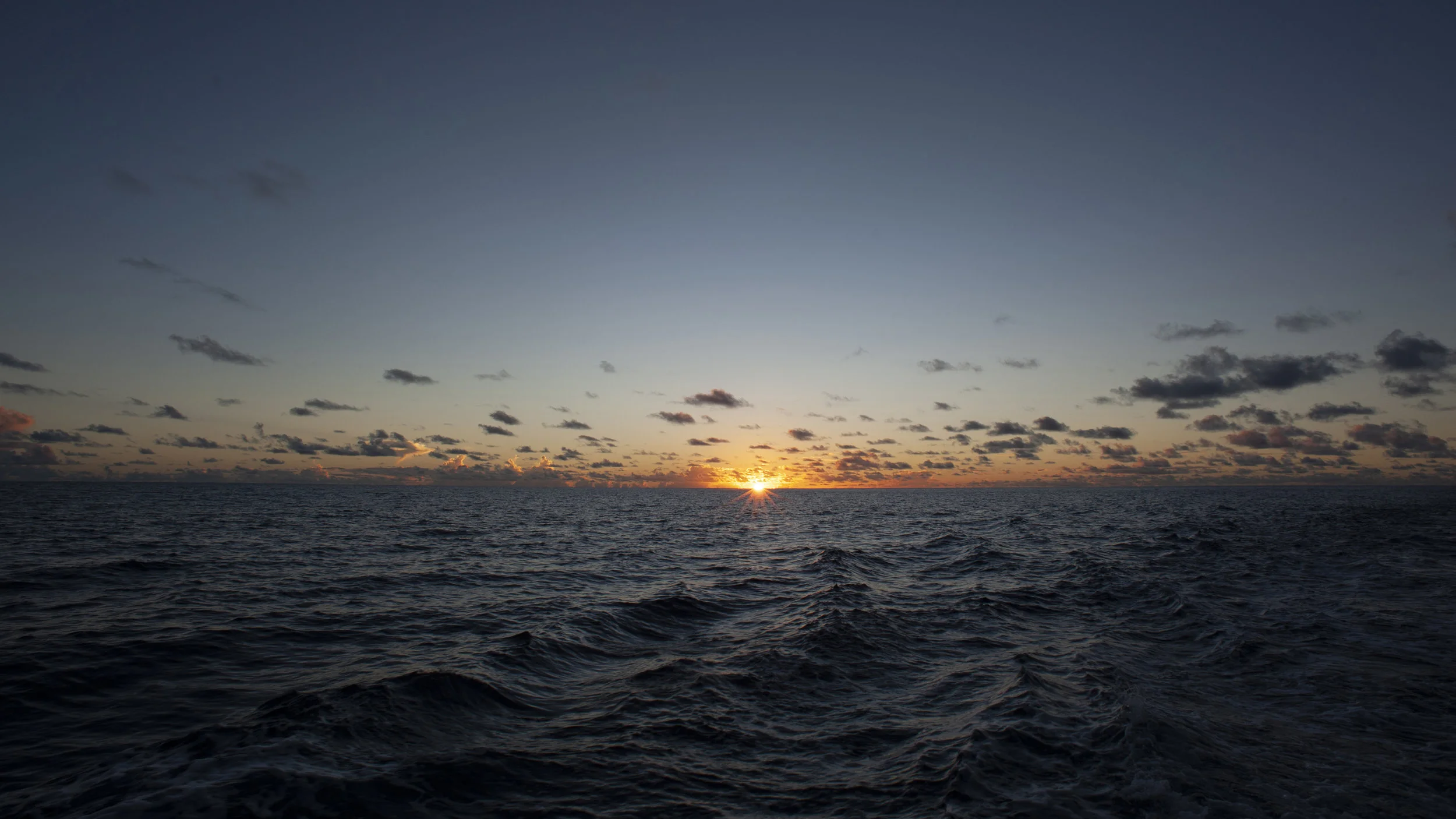 700_6338.jpg