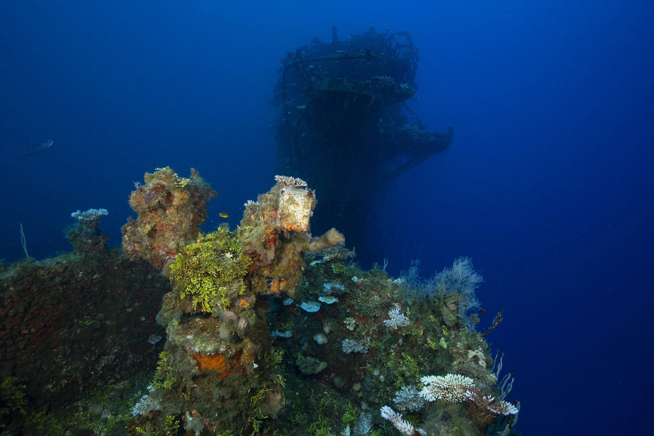 IY3A8212.jpg