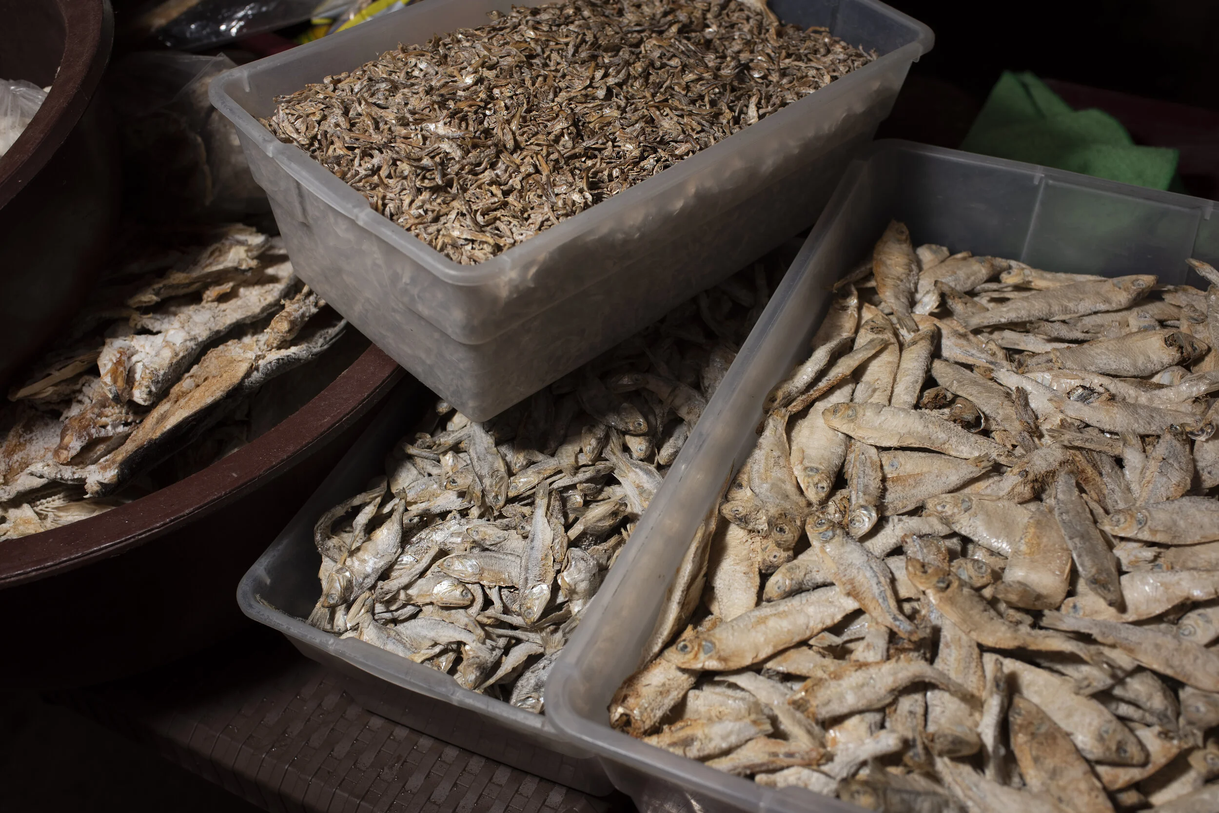 2019_Hon_Teguc_Mkt_Mskv_N813229.jpg