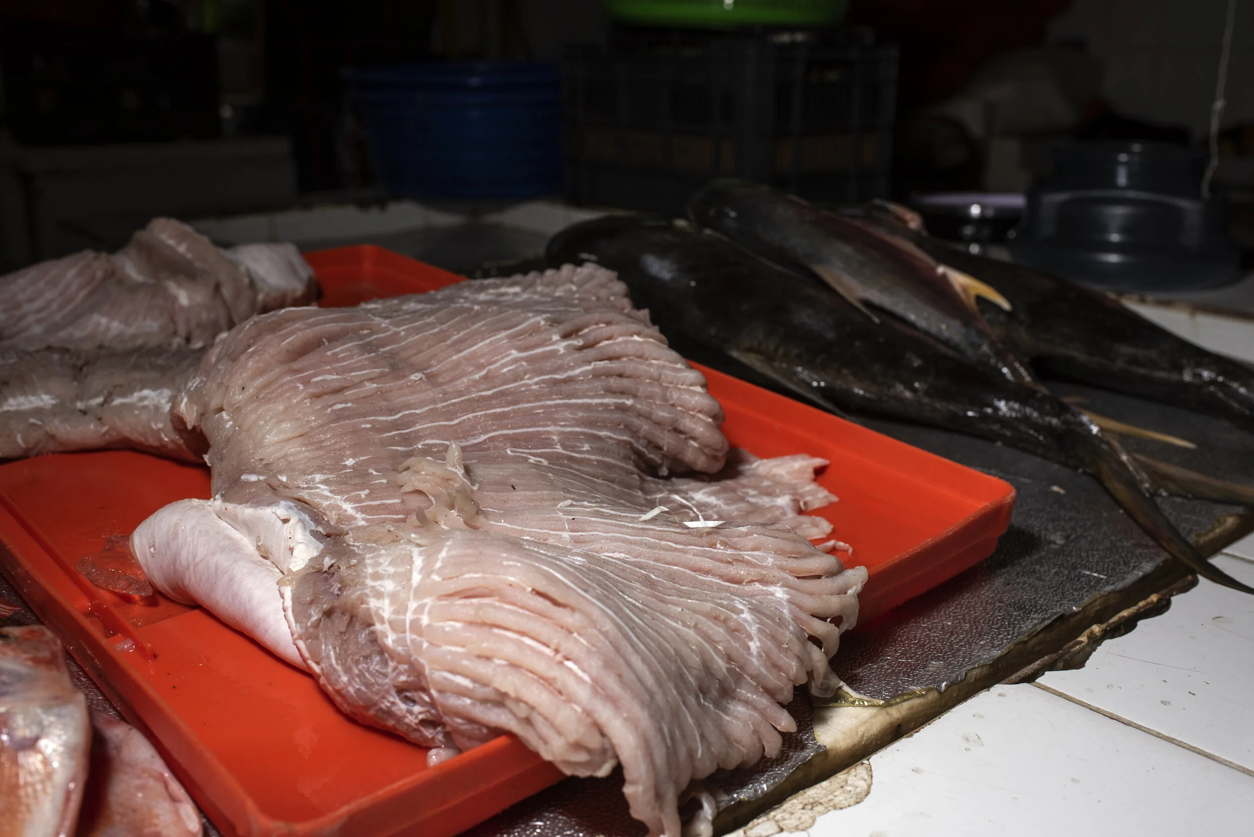 2019_Hon_Teguc_Mkt_Mskv_N813249.jpg