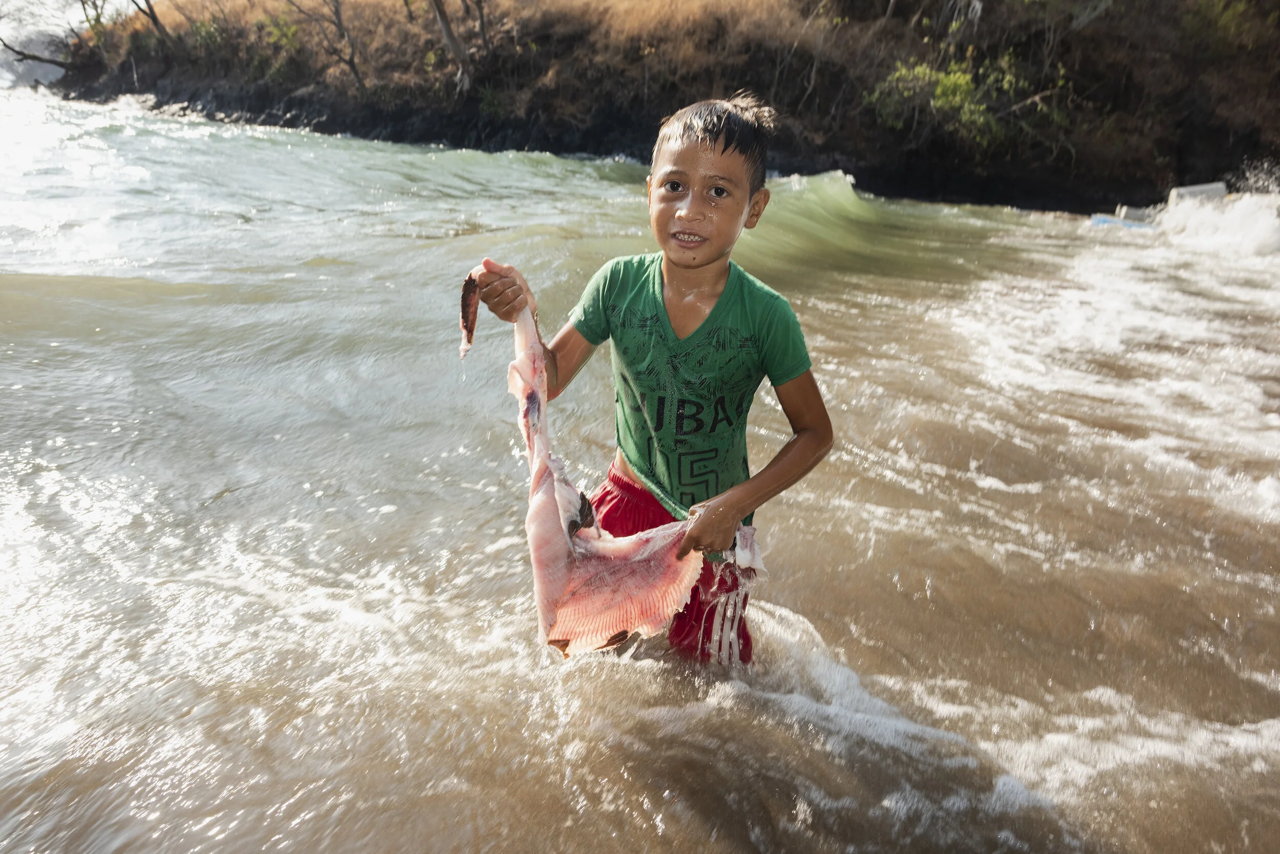 2019_Hon_Ama_Mskv_N812331 2.jpg