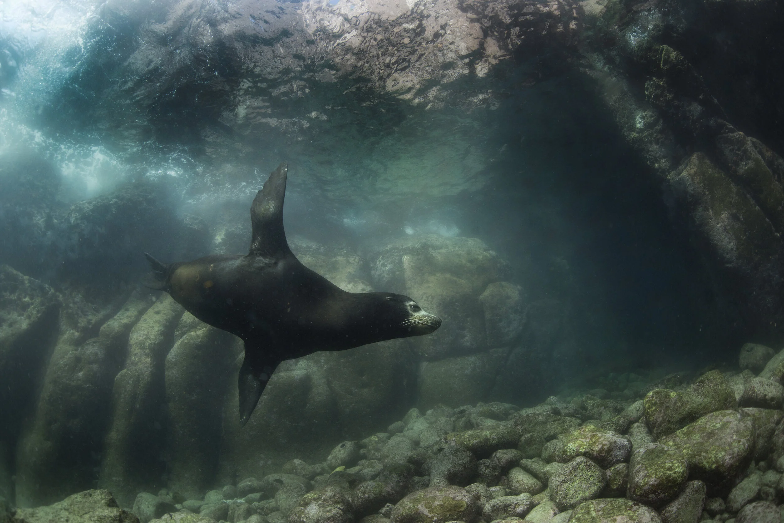 _N812155_DxO_alt_clr md.jpg