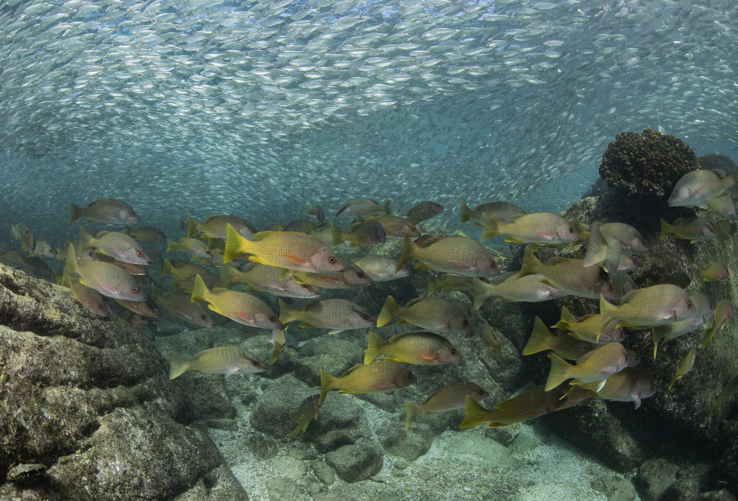 _N819020_DxO alt clr md.jpg