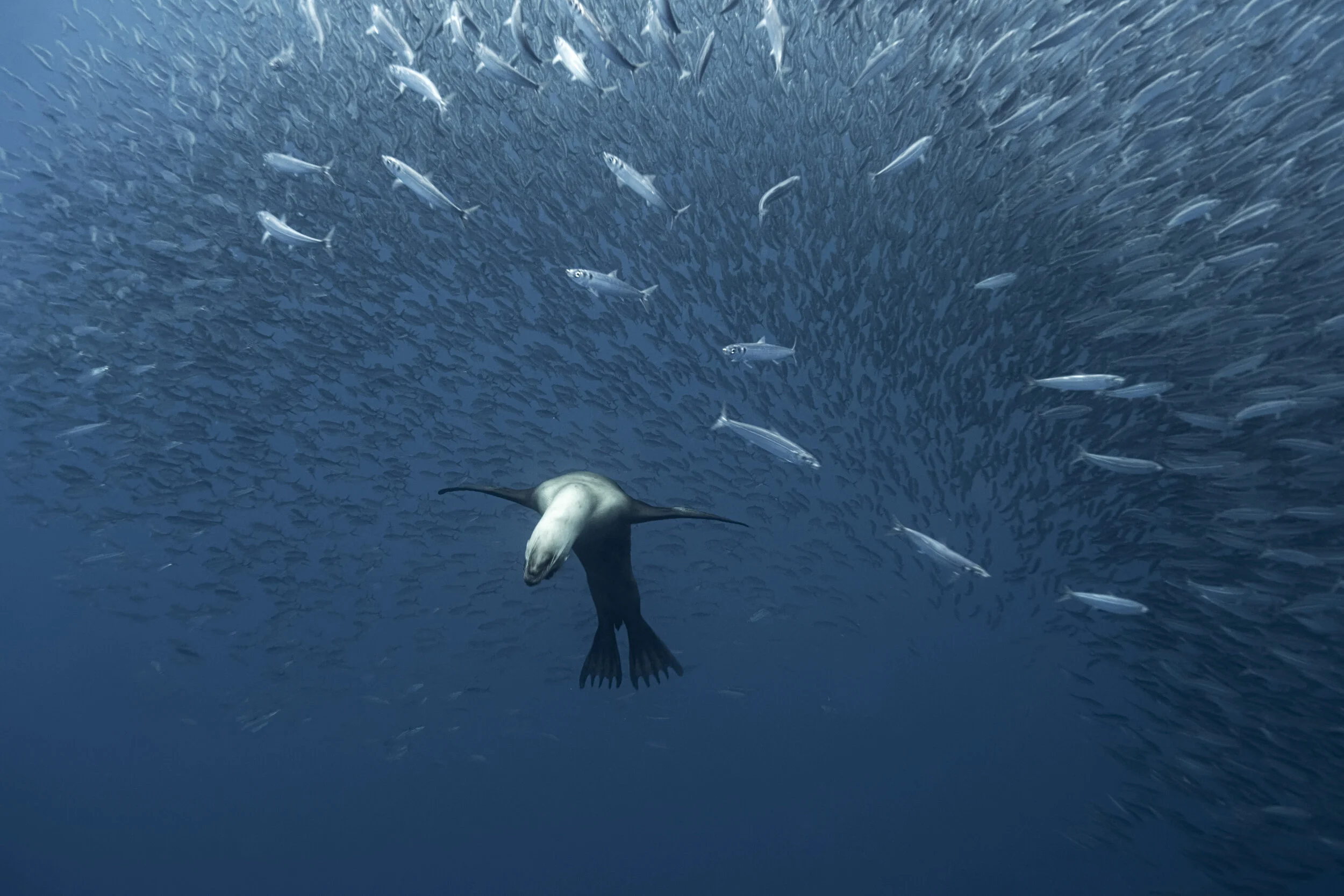 _N811026_DxO_alt_edit md.jpg