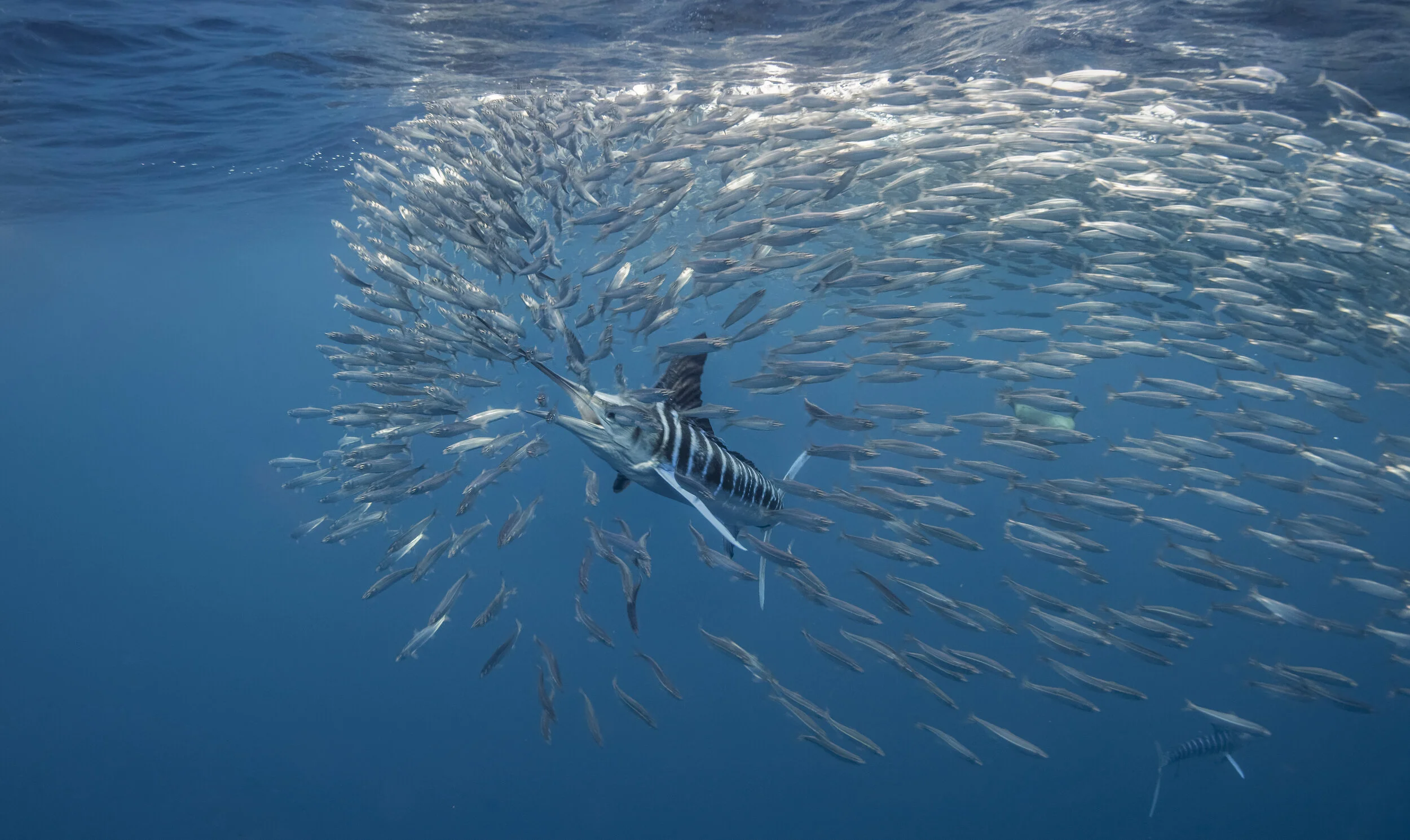 _N810922_DxO2_remix md.jpg