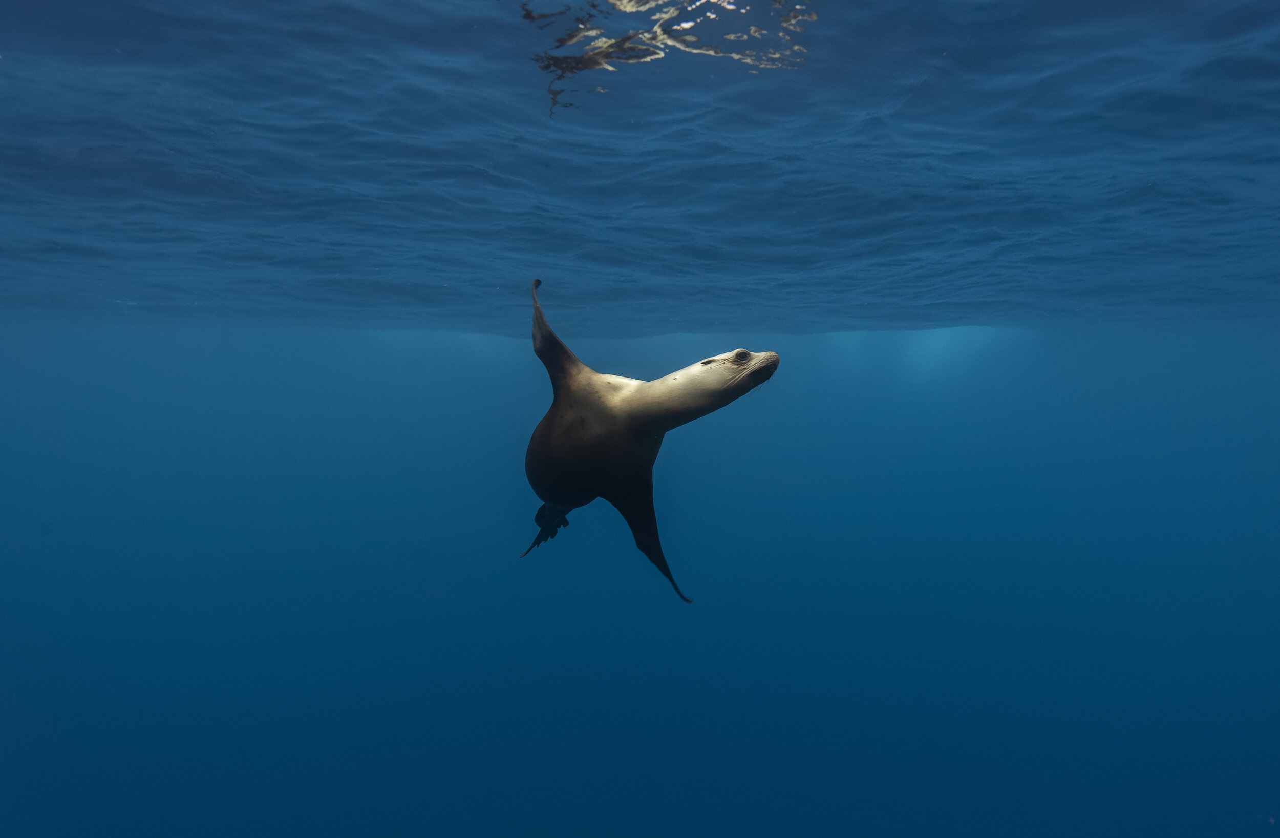 _N811181_DxO_alt_edit_remix md.jpg