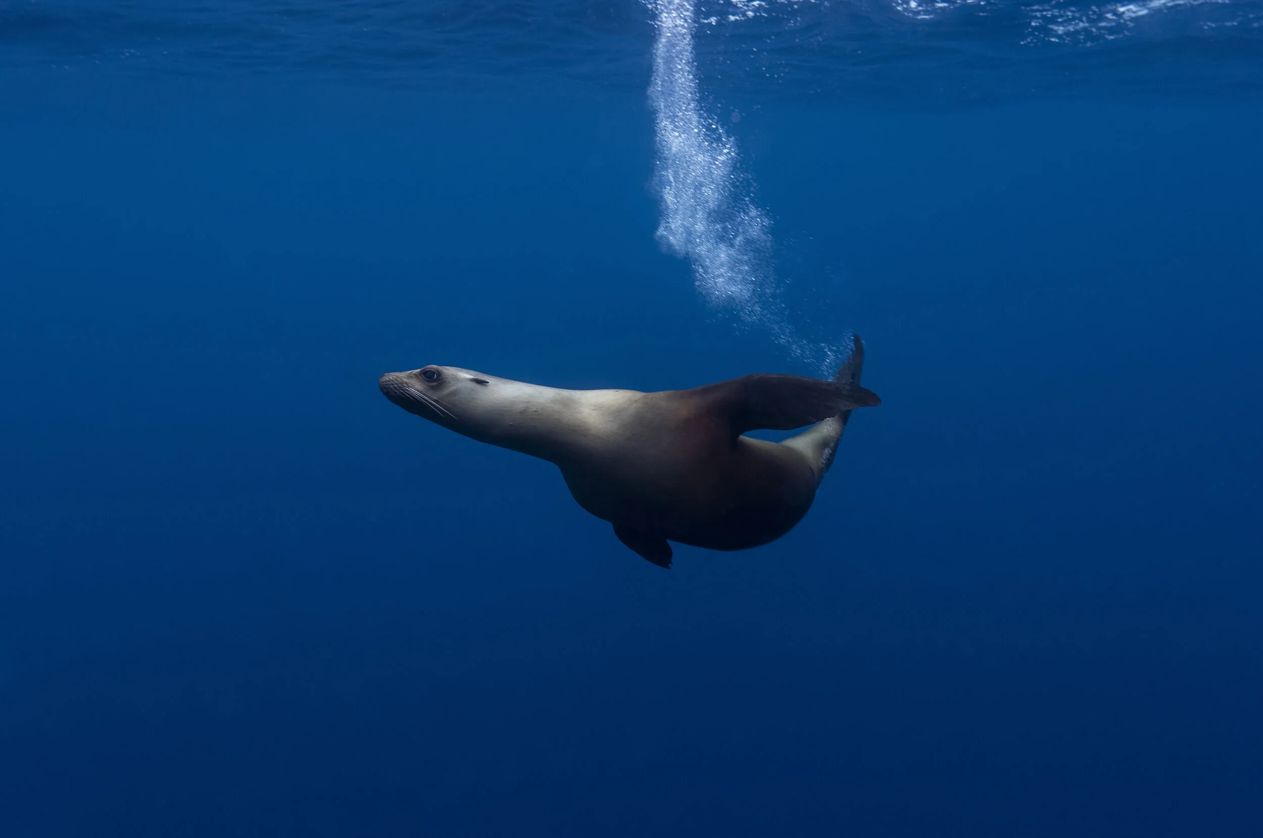 _N811265_DxO md.jpg