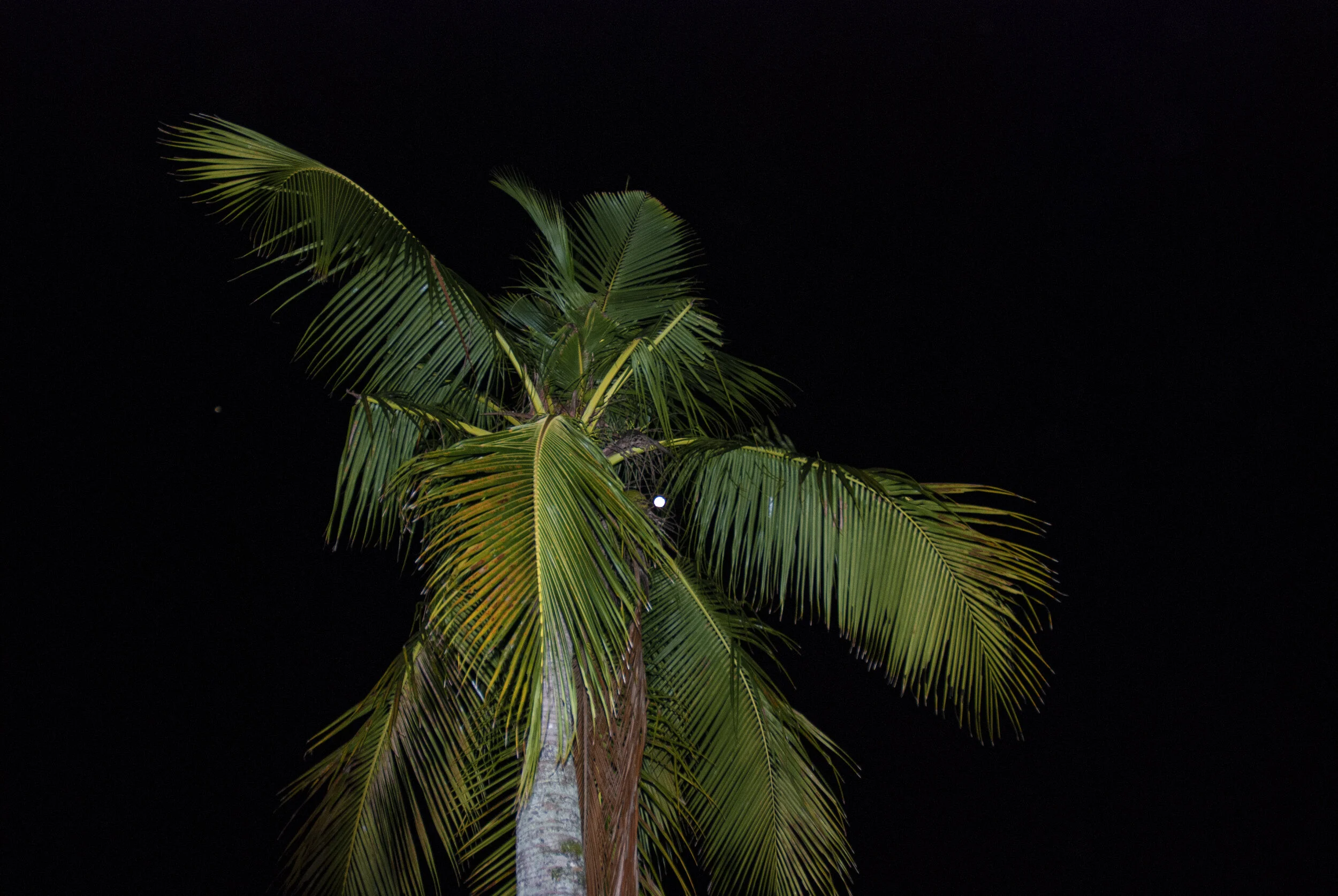 DSC_9438.jpg