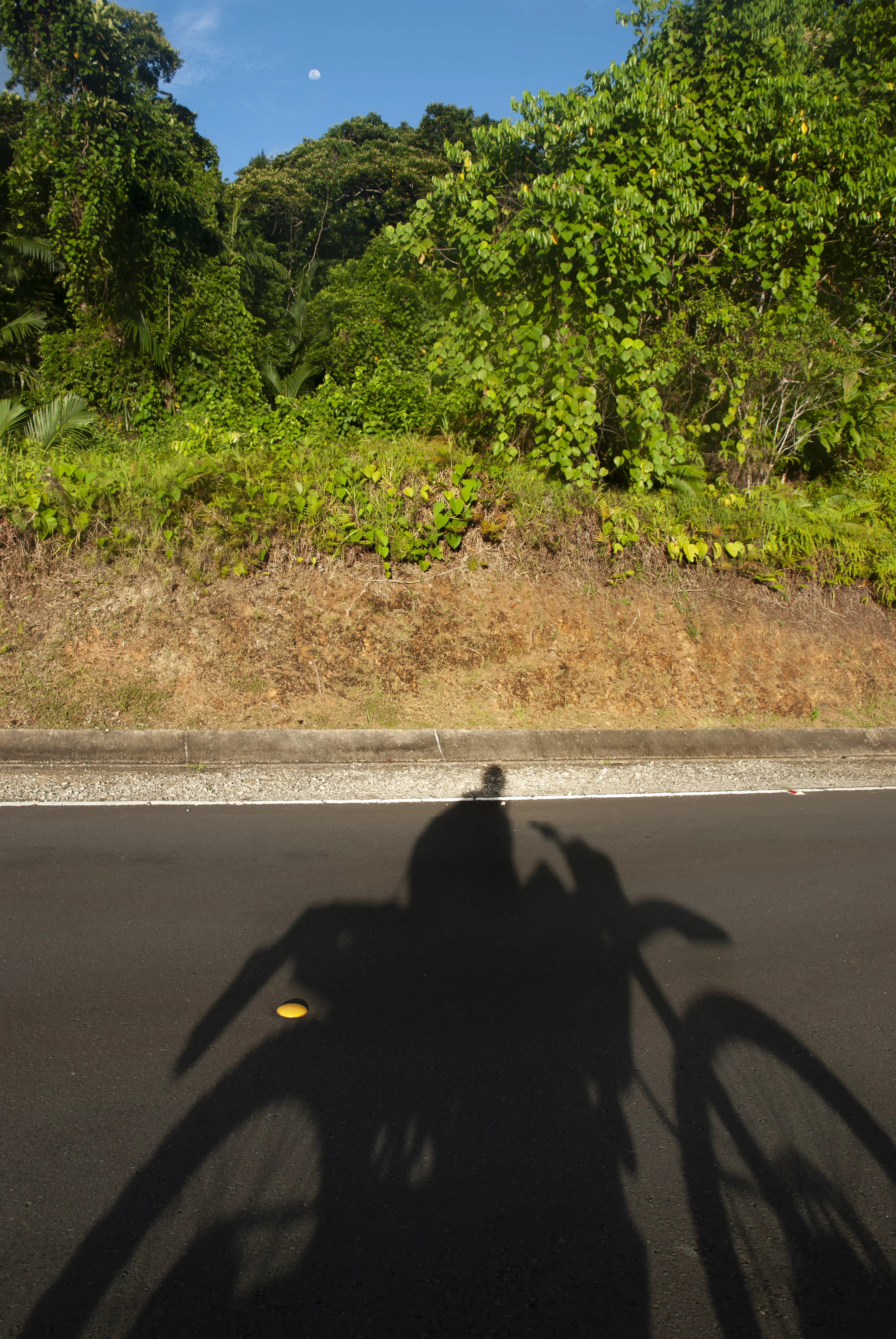 motorbike-DSC_9821.jpg