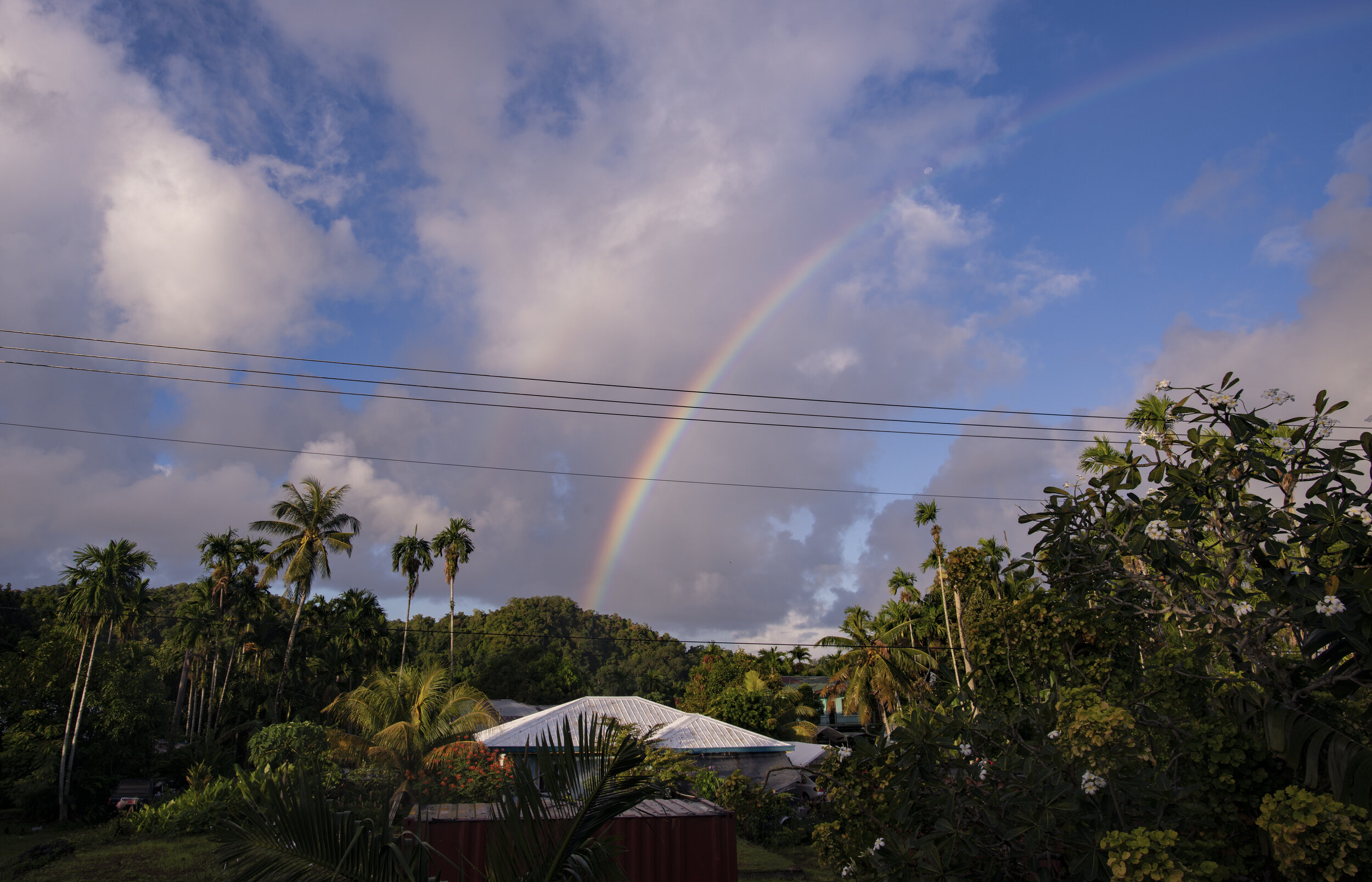 _DSC8708.jpg