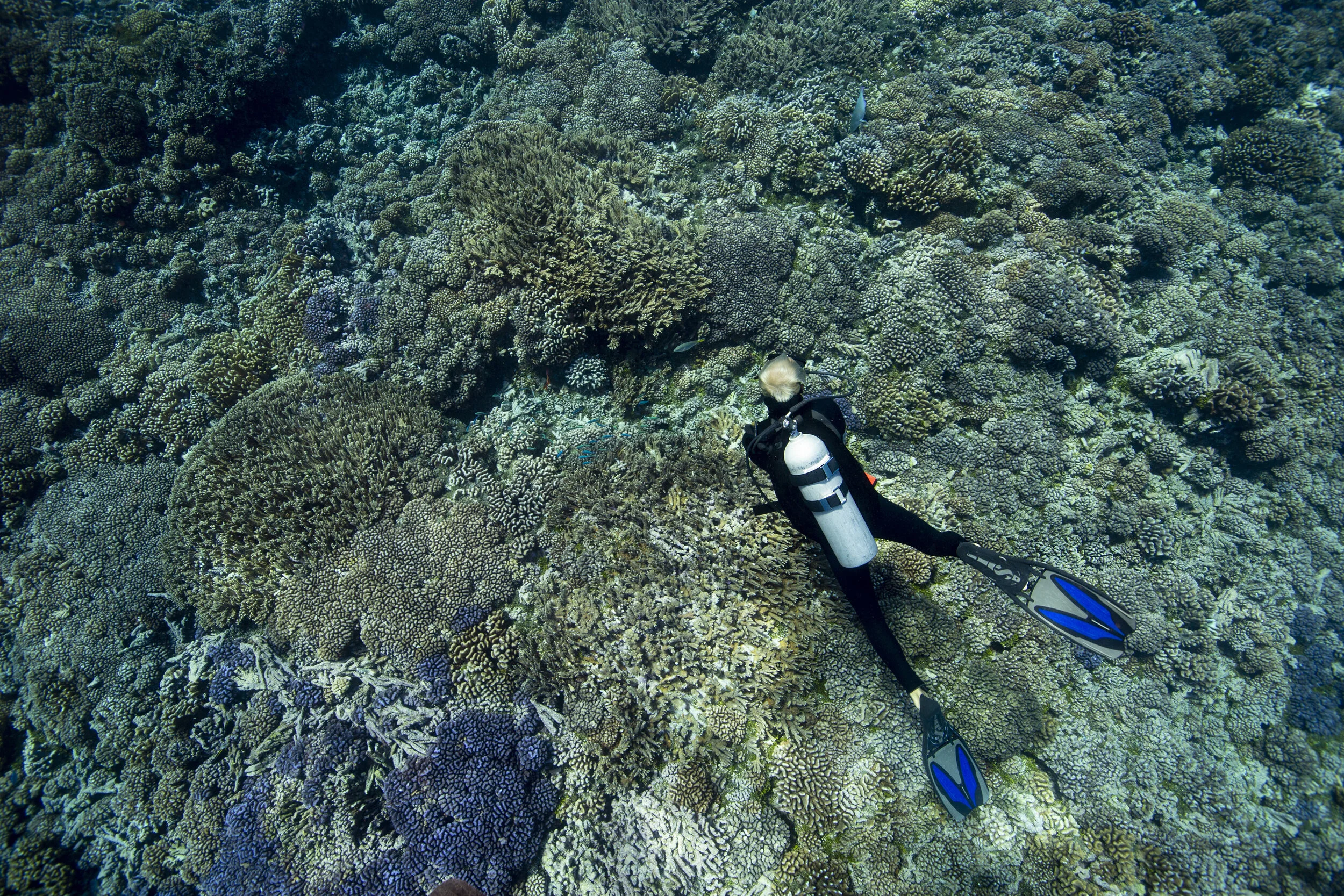 2B8A4265b.jpg