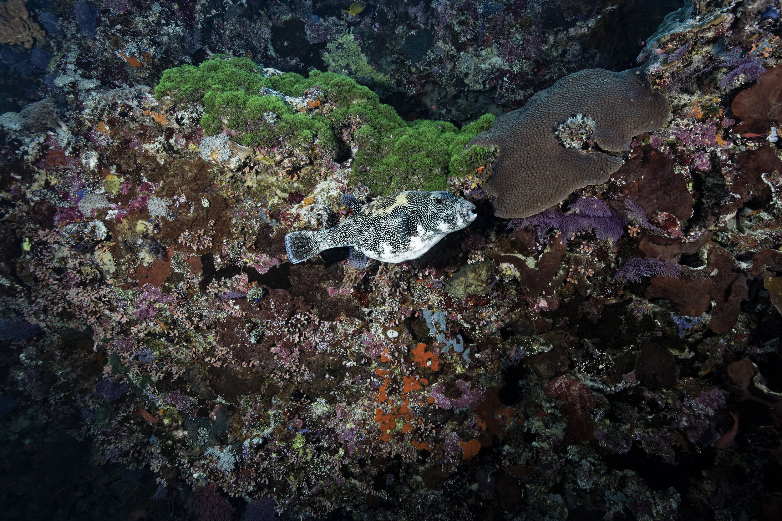 2B8A7310_DxO.jpg