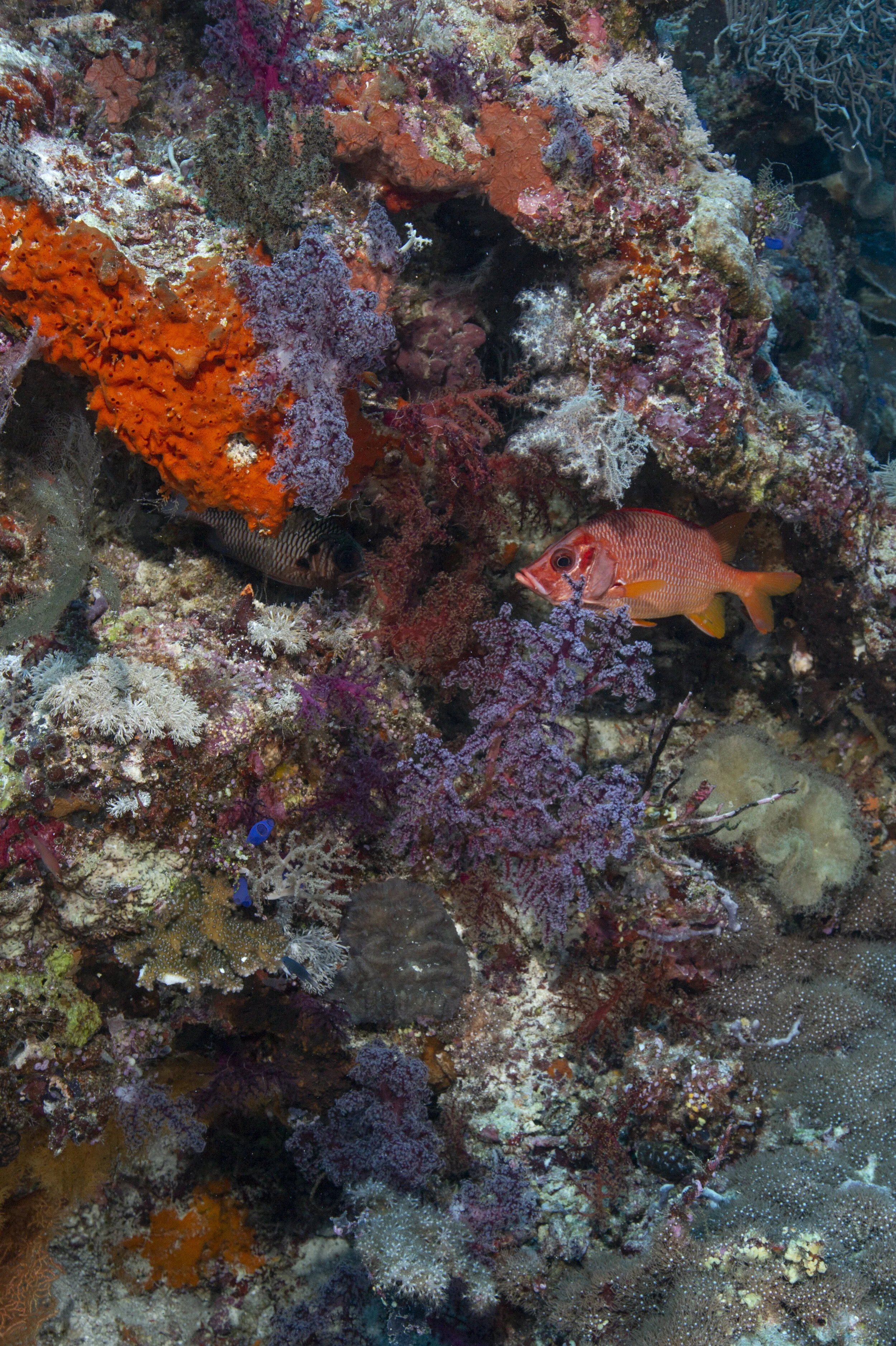 2B8A8068 2.jpg