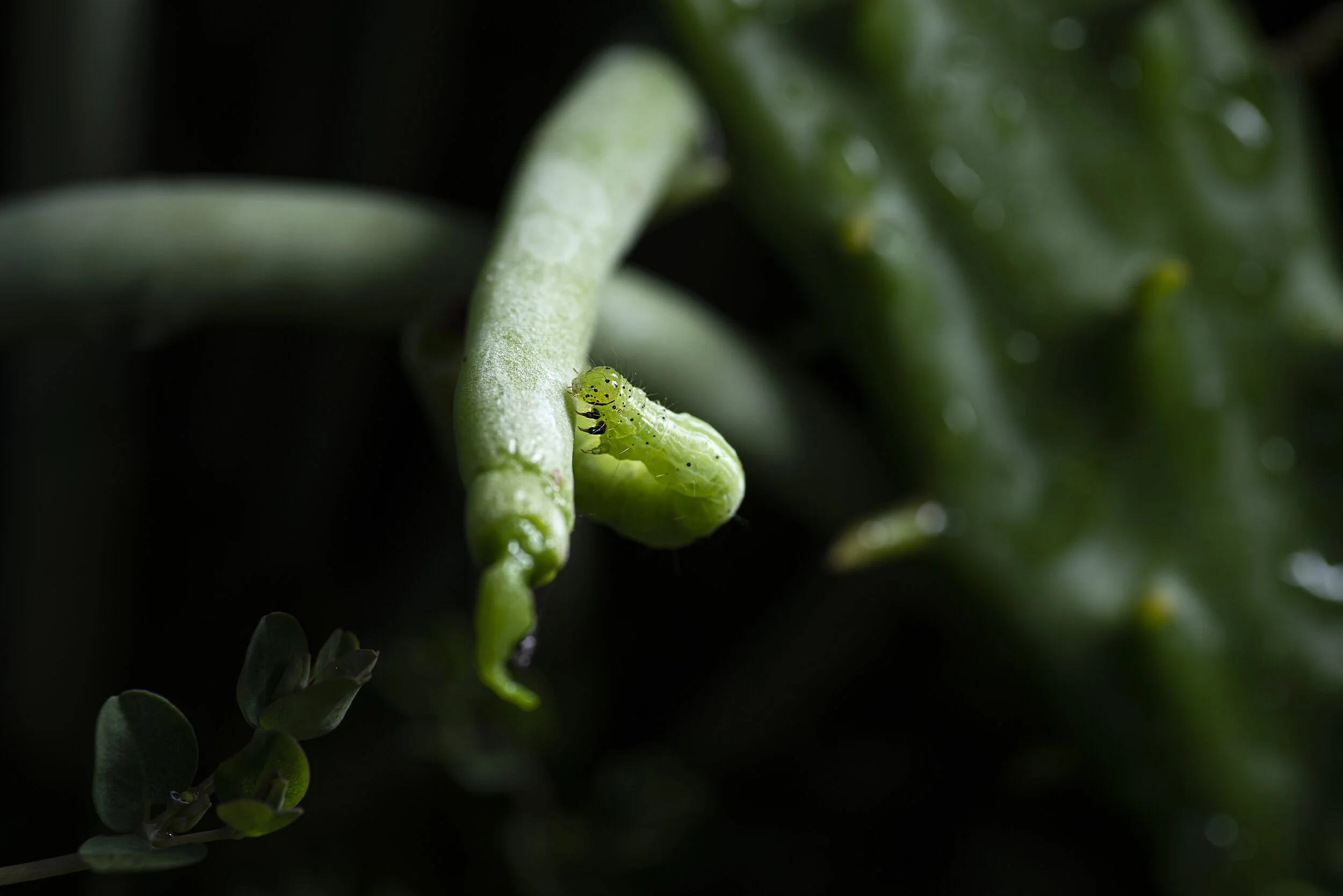 _R726660.jpg