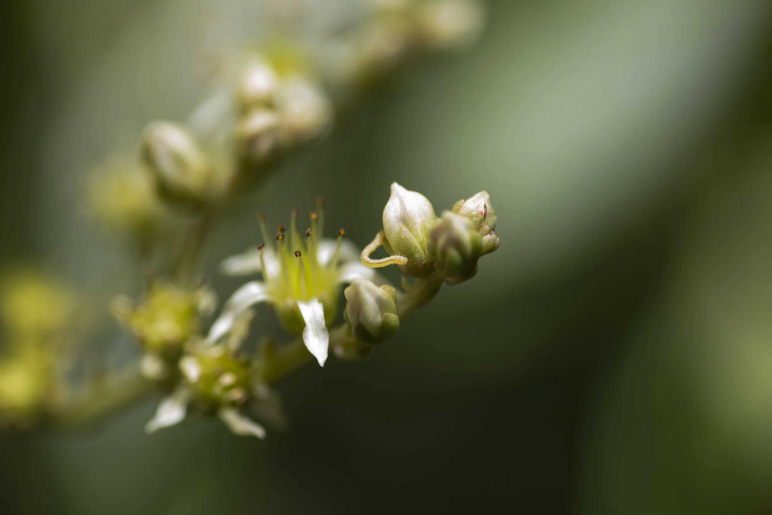 _R726789.jpg