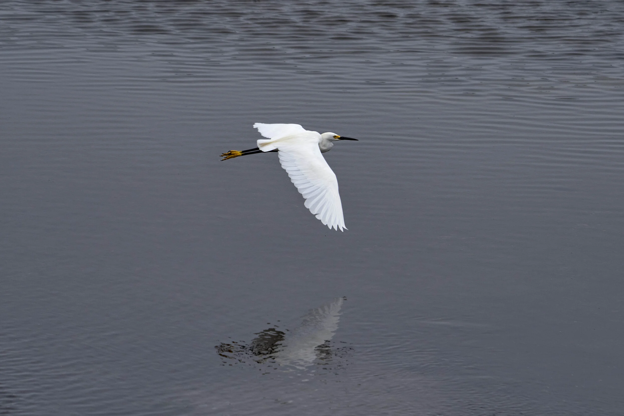 _R729779.jpg