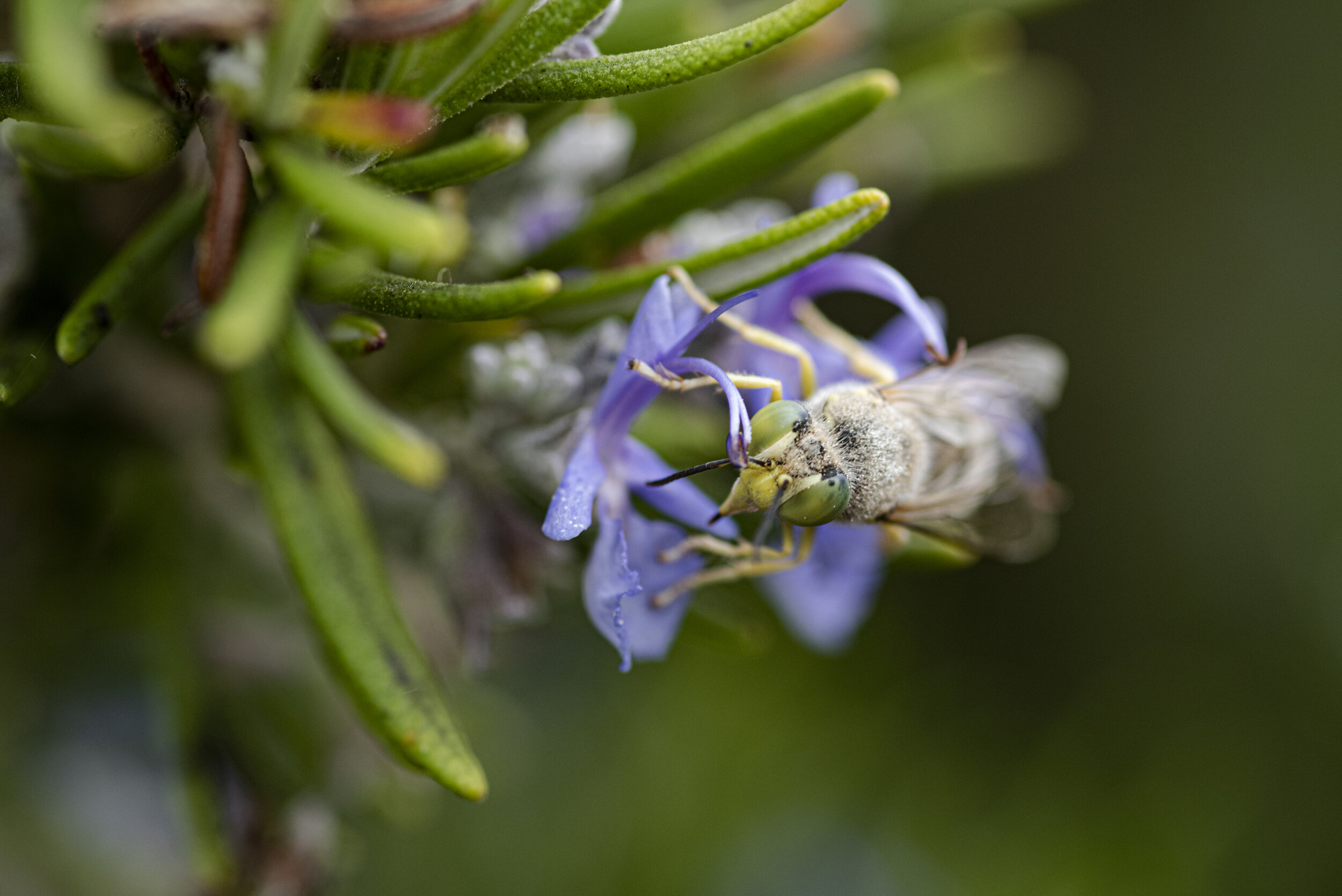 _R722158.jpg