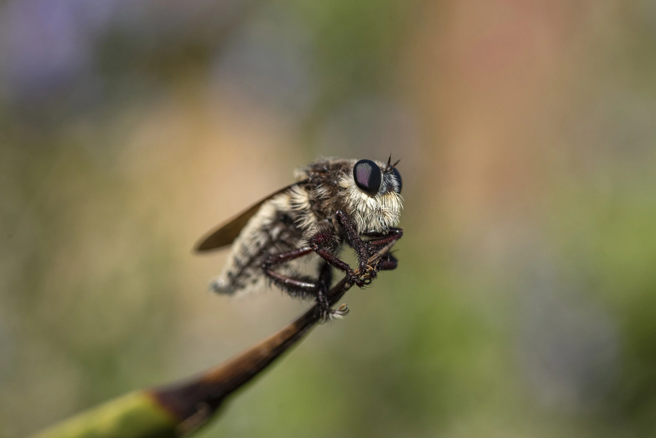 _R721578 2.jpg