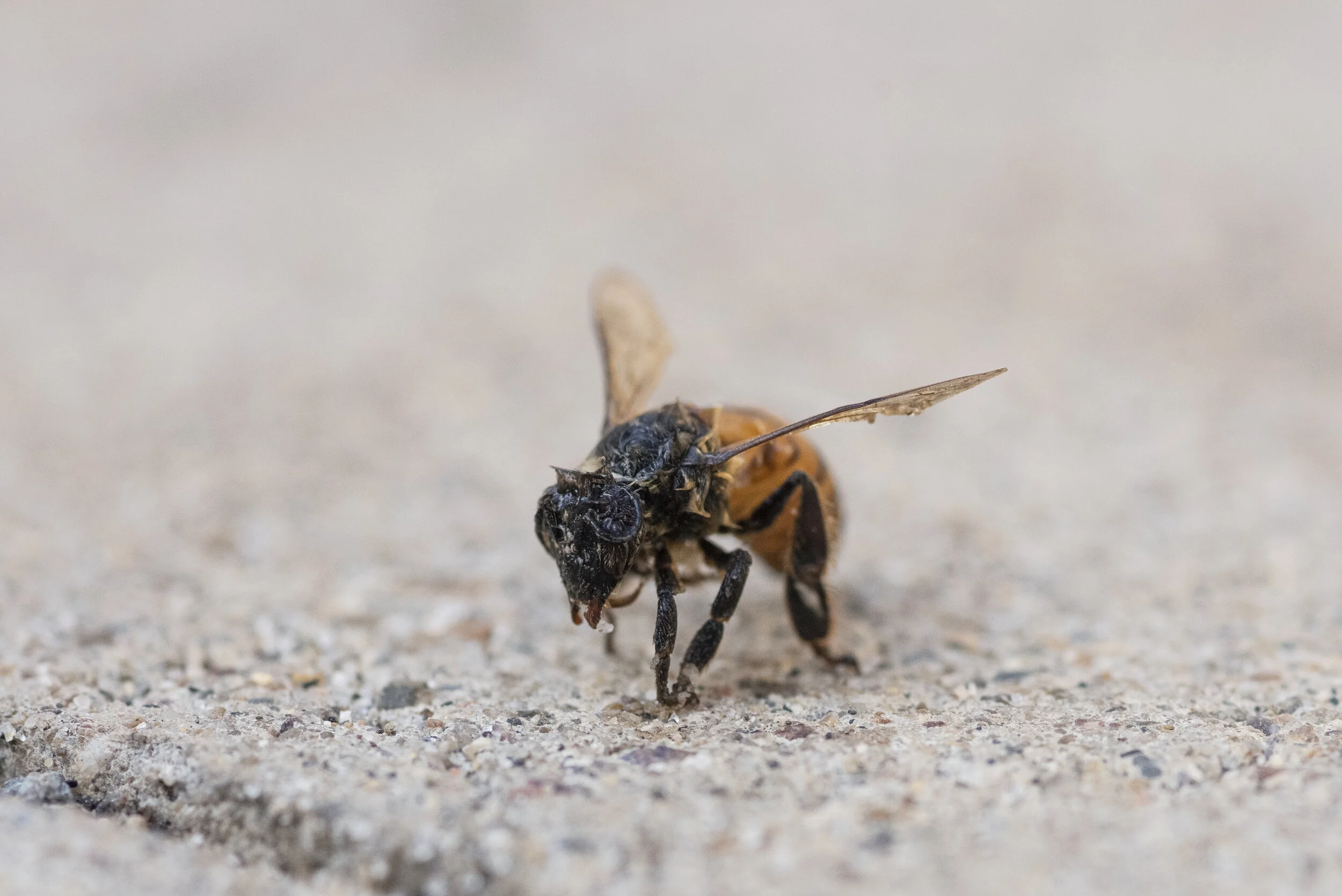 _R721667.jpg