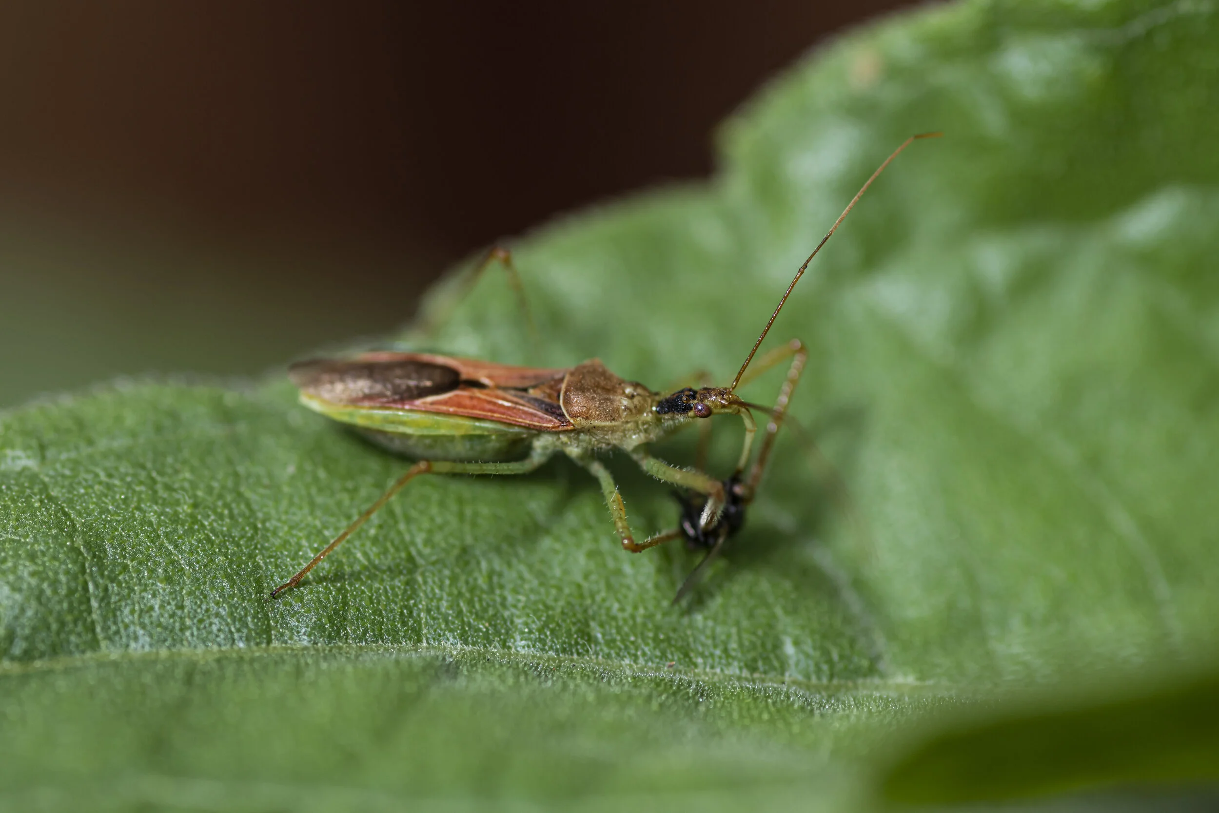 _R723814.jpg