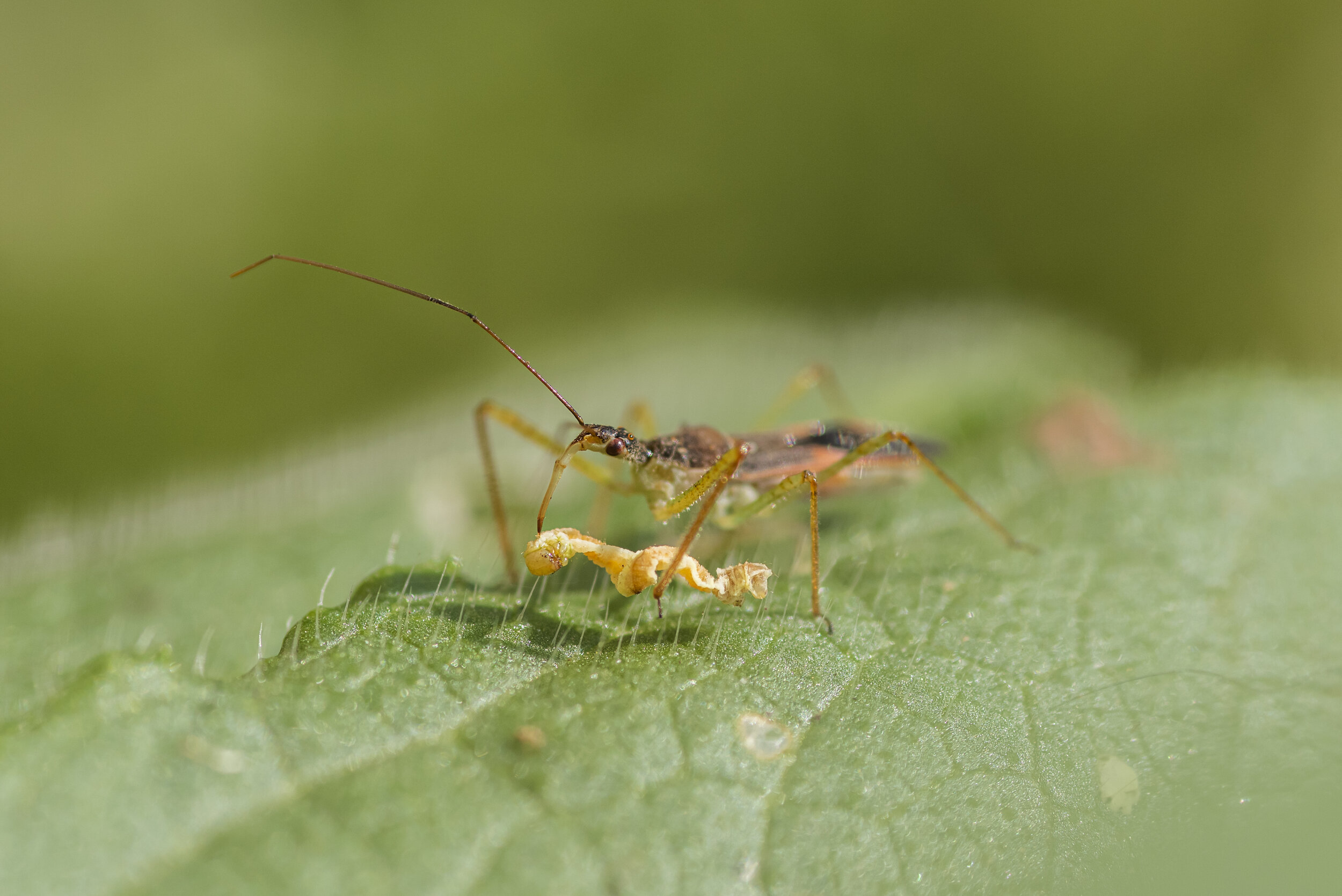 _R724168.jpg