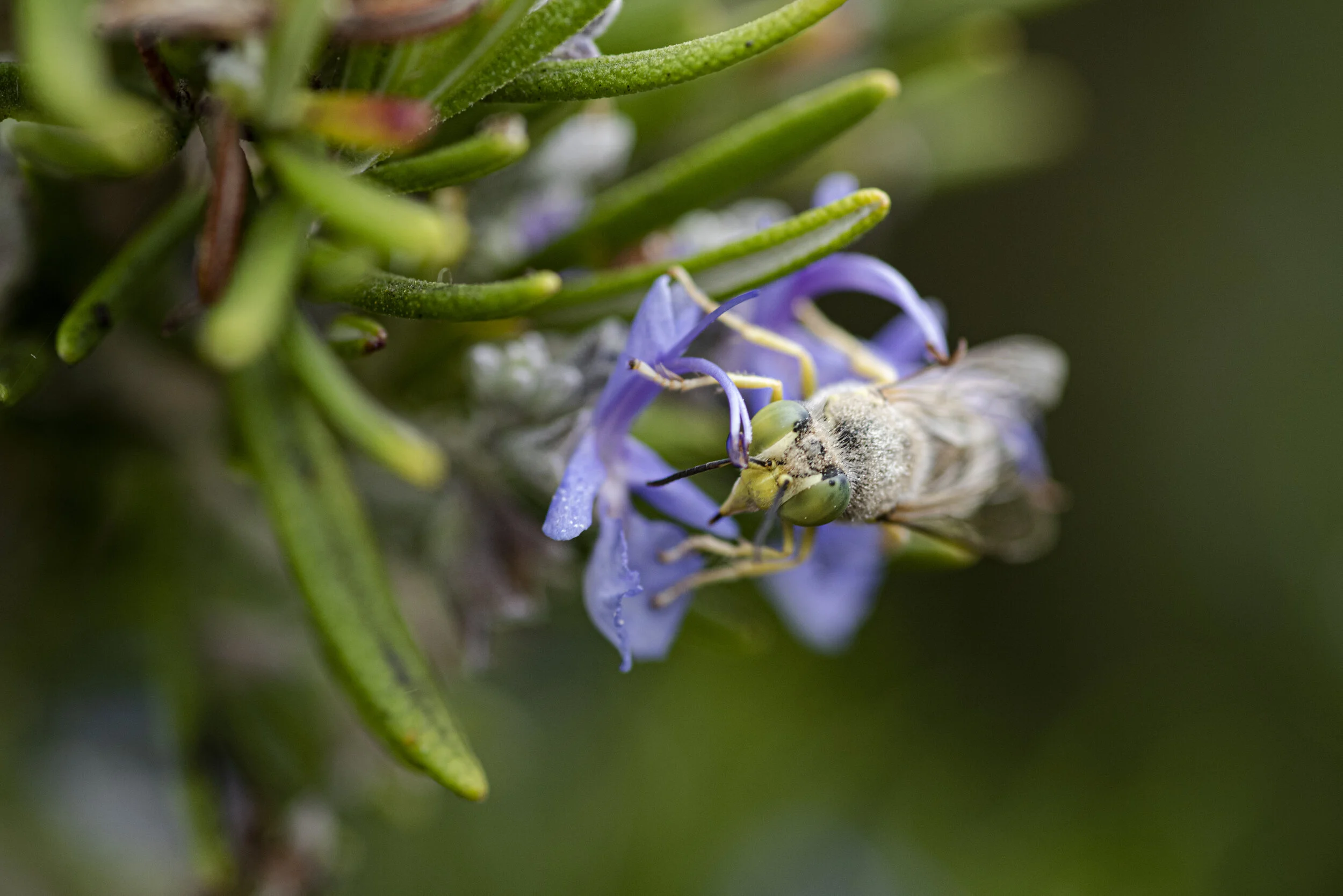 _R722158.jpg