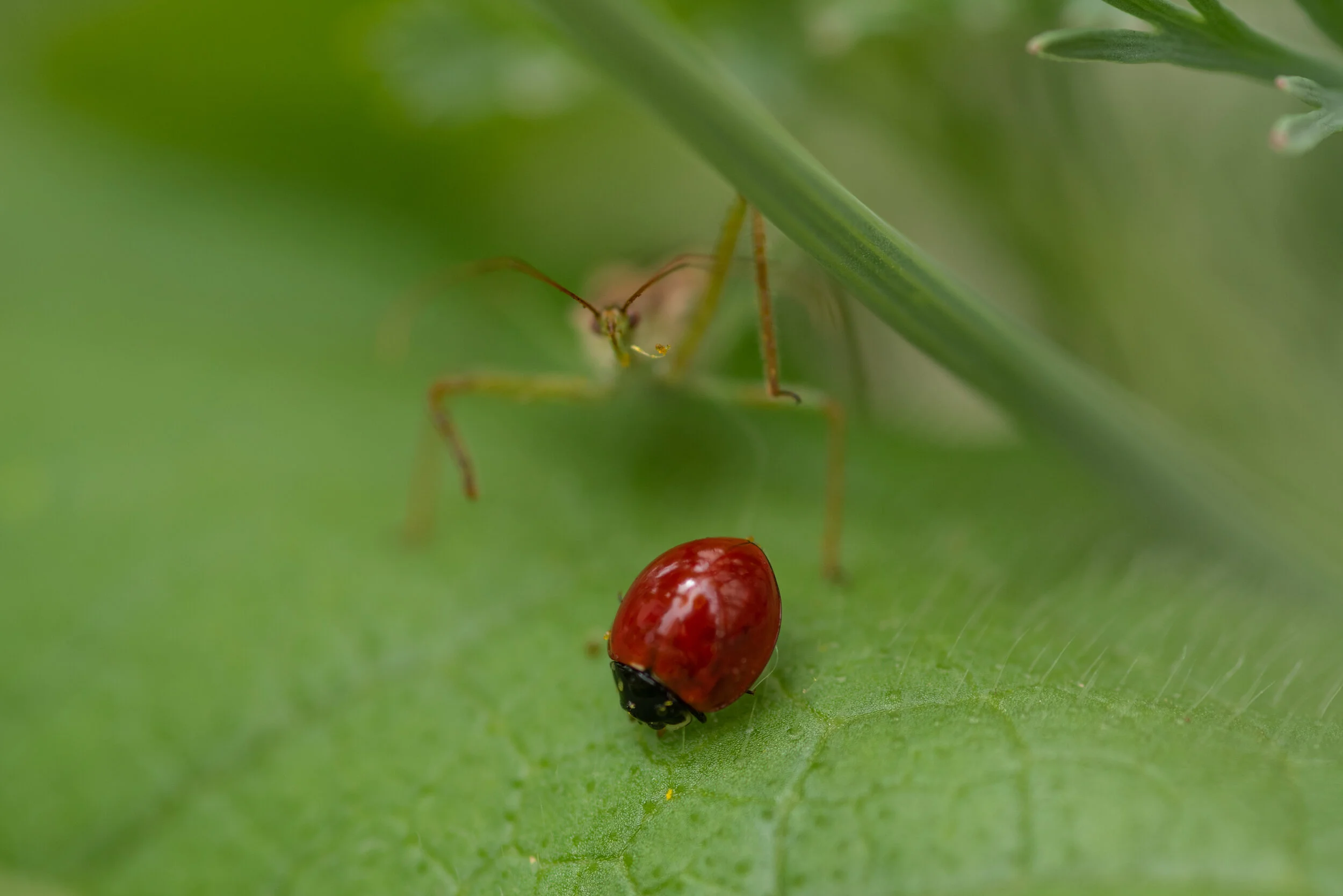 _R723116.jpg
