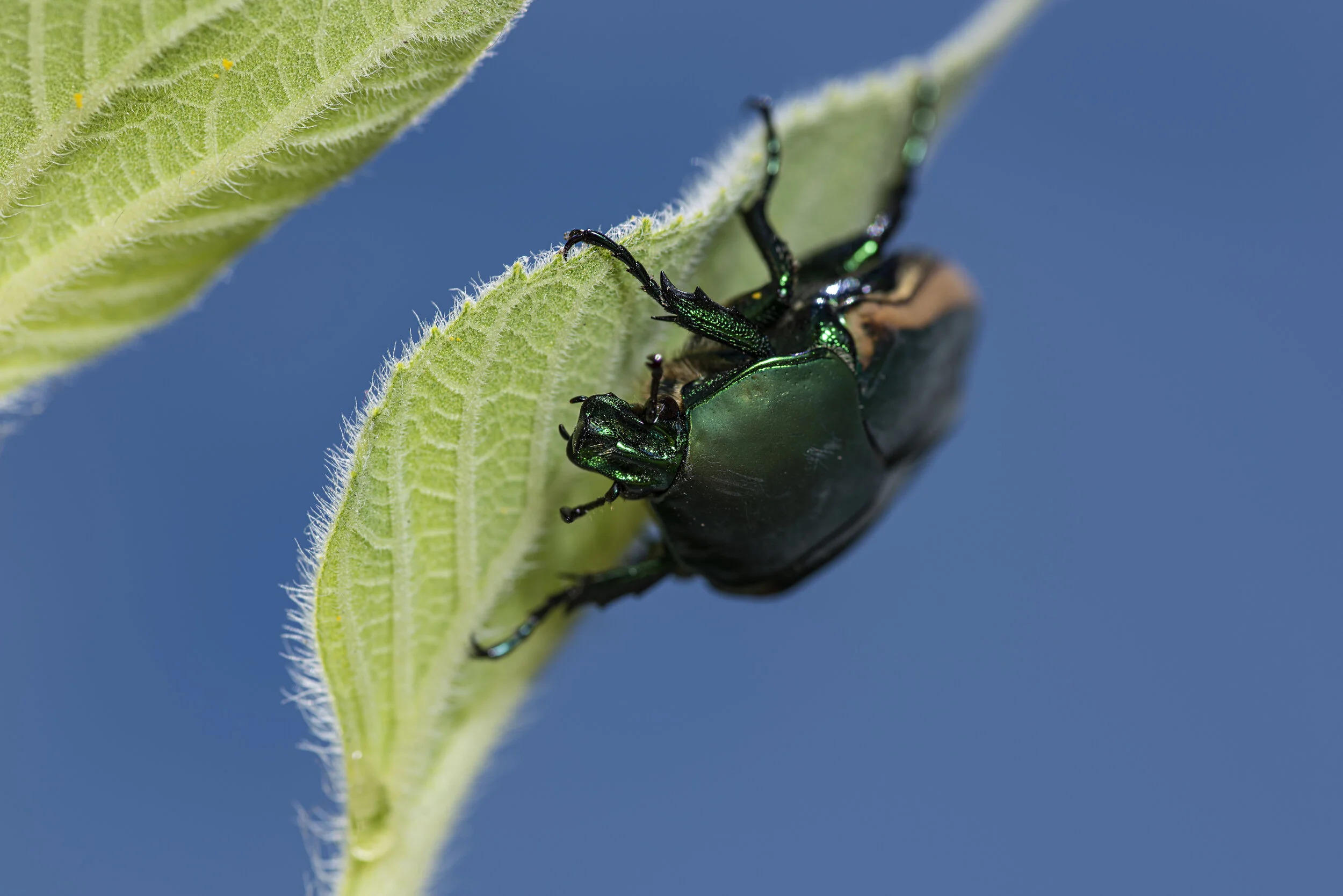 _R720568.jpg
