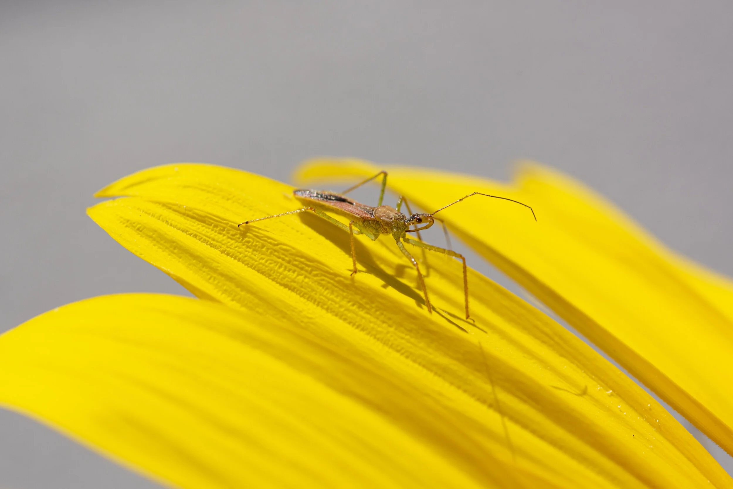 _R720503.jpg
