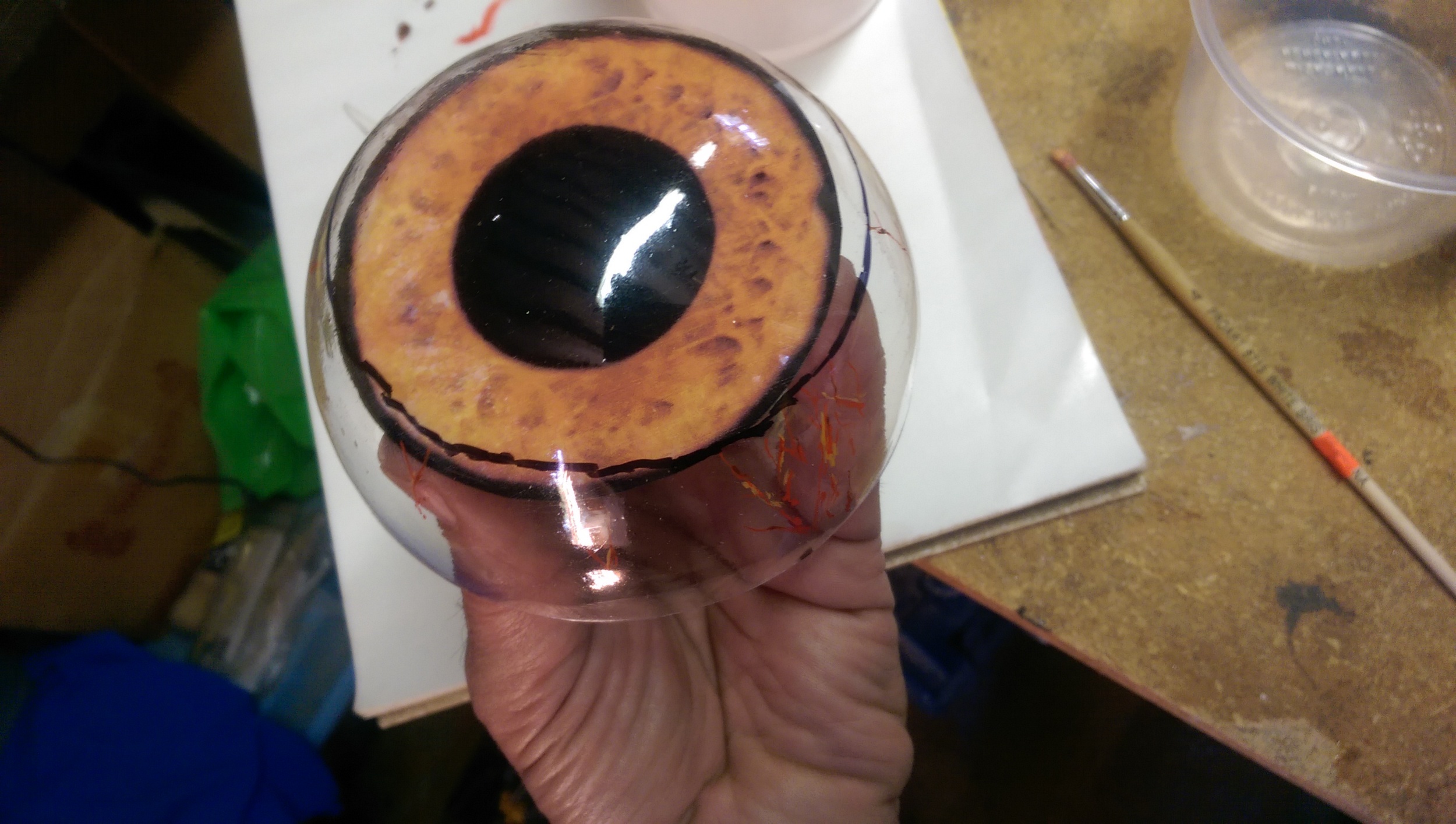 Printed cornea positioned inside the clear dome
