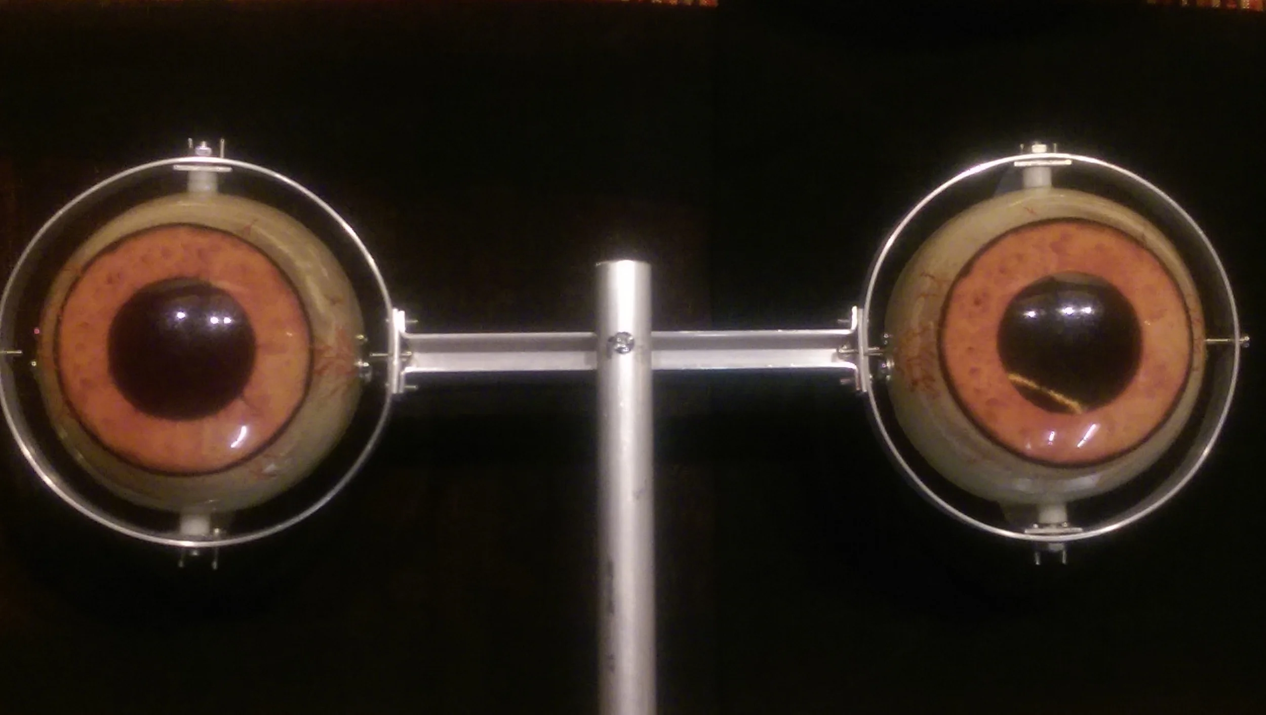 Basic pair of eyes, mounted