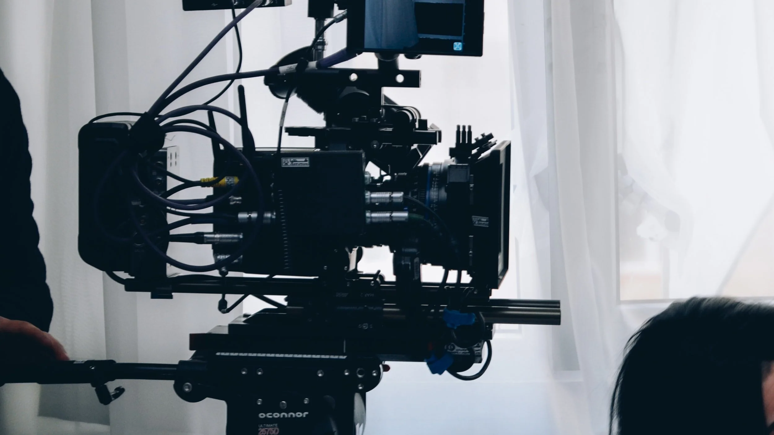 Rooted VLOG: Episode 48- "The Blood Still Works"