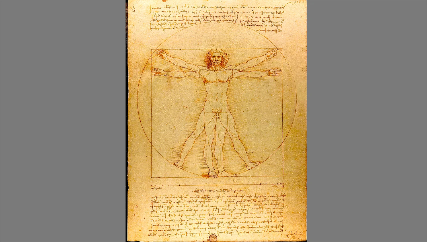 Vitruvian.jpg