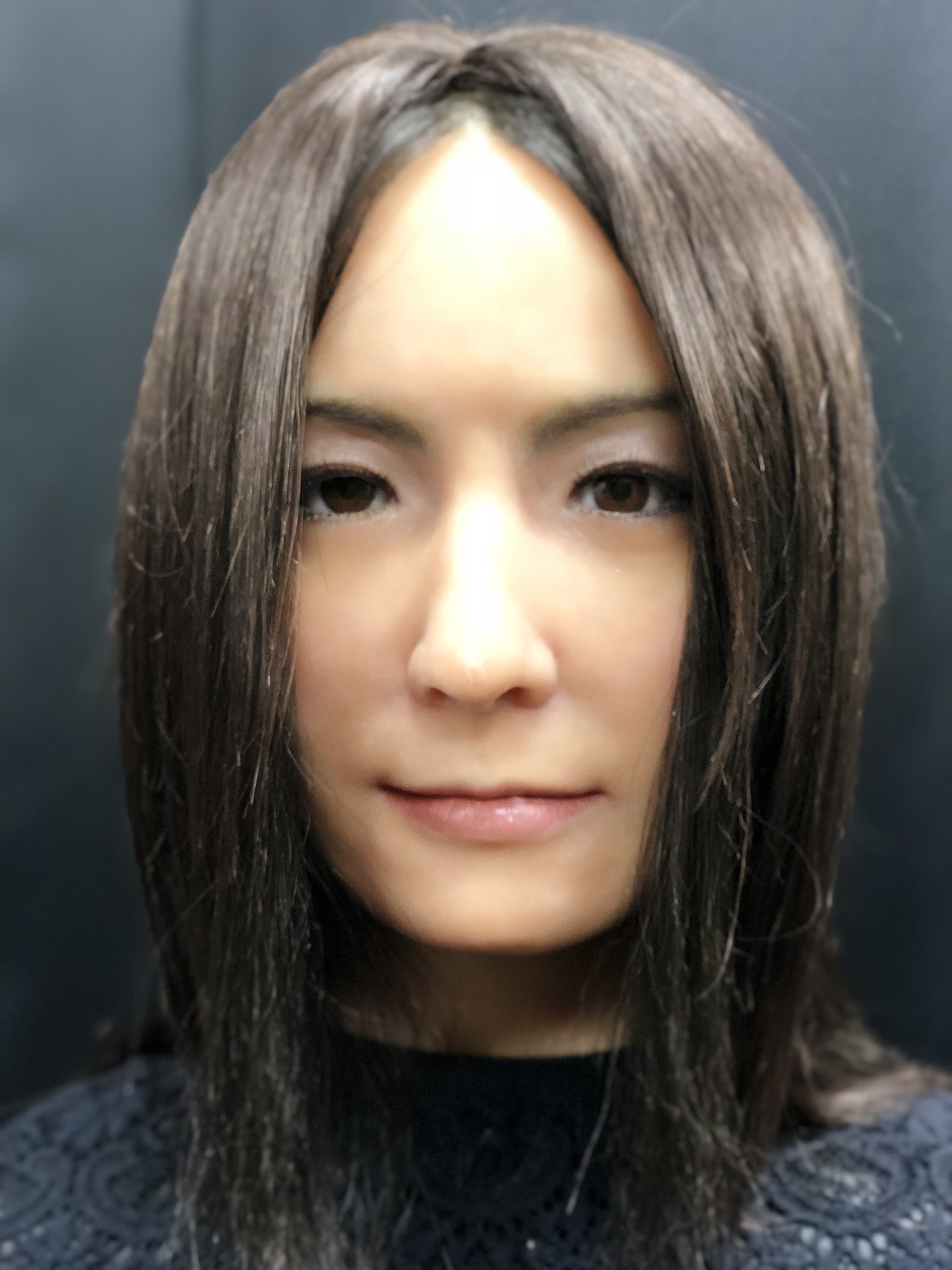 geminoid