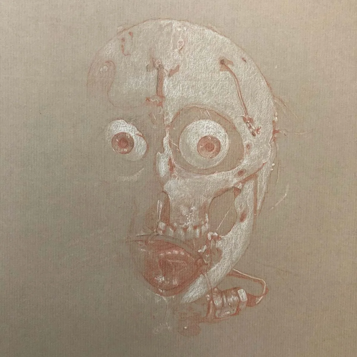 Skull.jpg