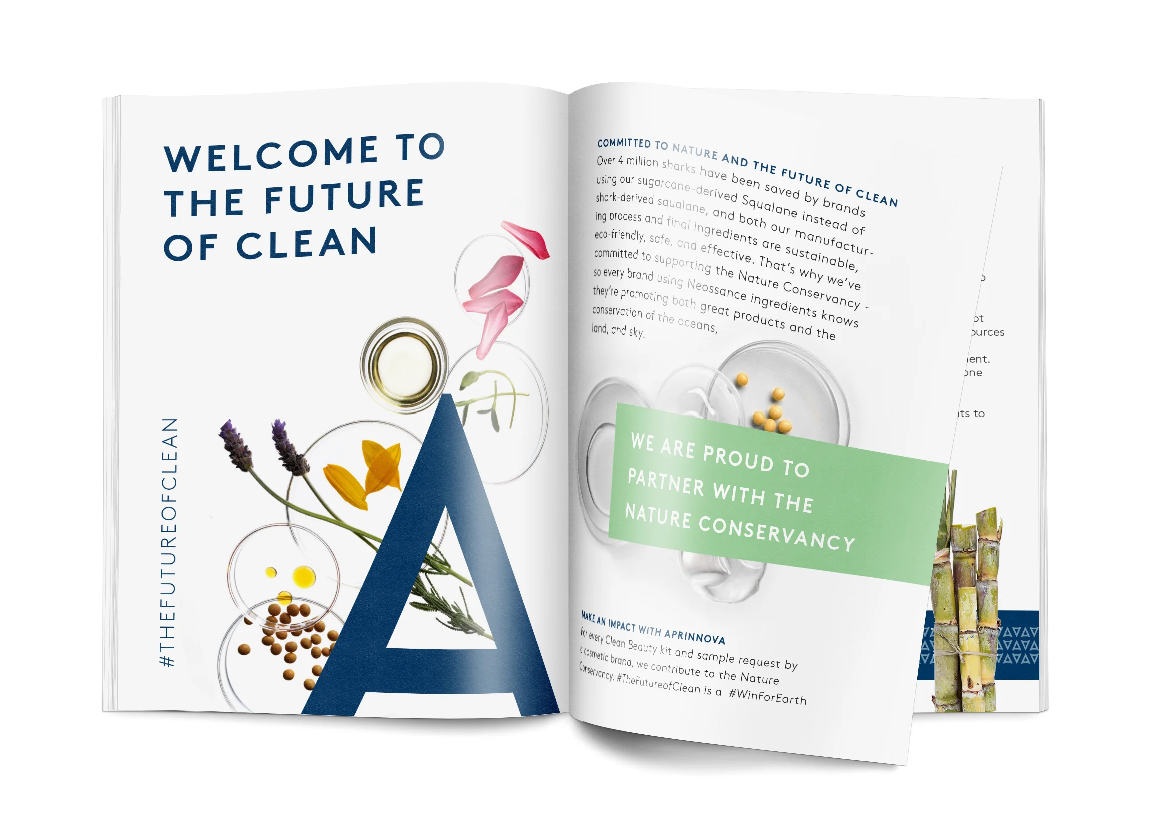 Aprinnova-magazine-mockup.jpg
