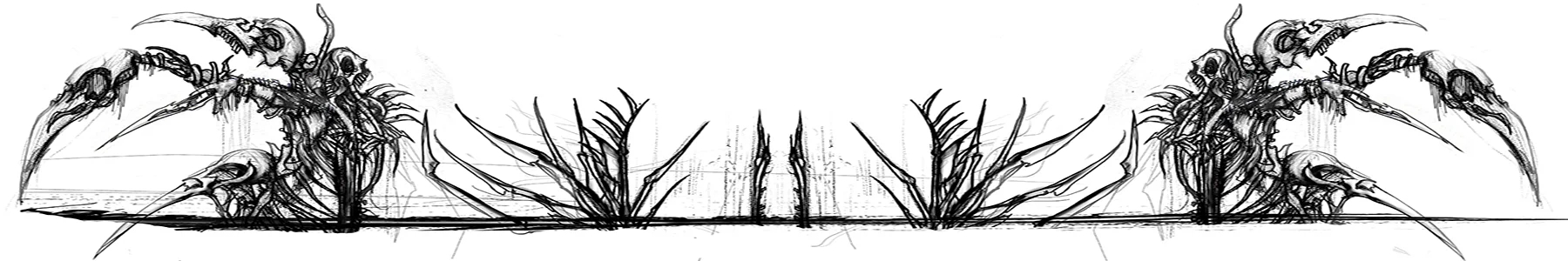 bird borderheaderline web.jpg